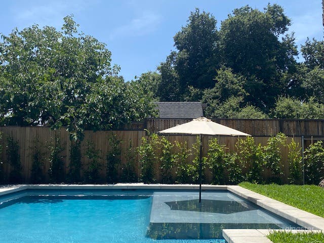 Updated 1920s English Cottage on Large Lot + Pool Photo 1