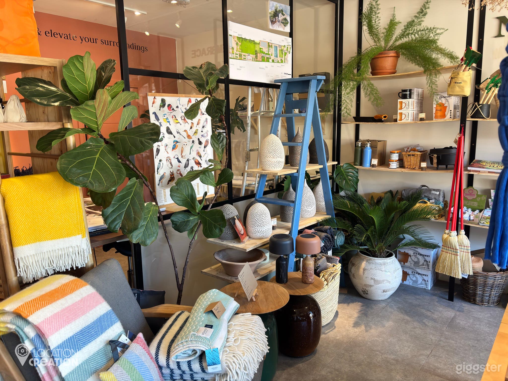 Garden Design Studio For Film and Photoshoots Photo 3