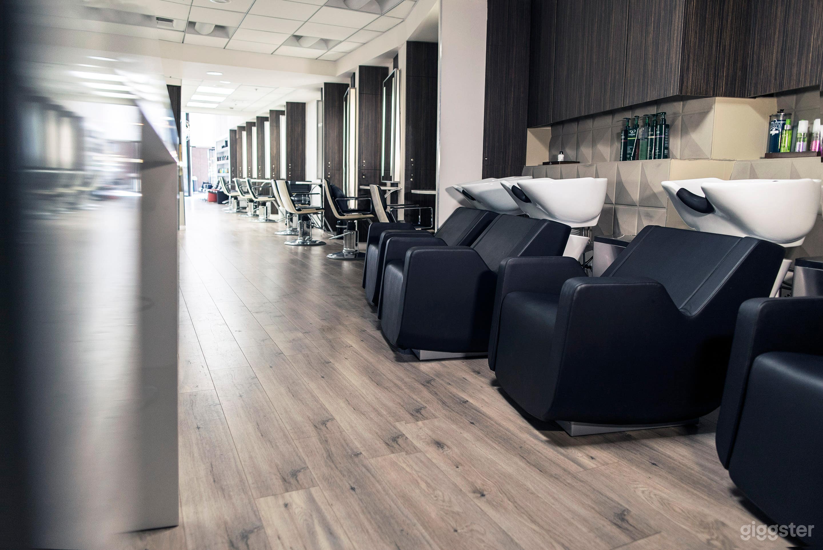 Contemporary Modern Salon Photo 3