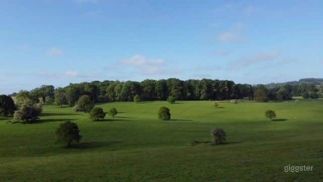 THE READING ROOM Photo 4