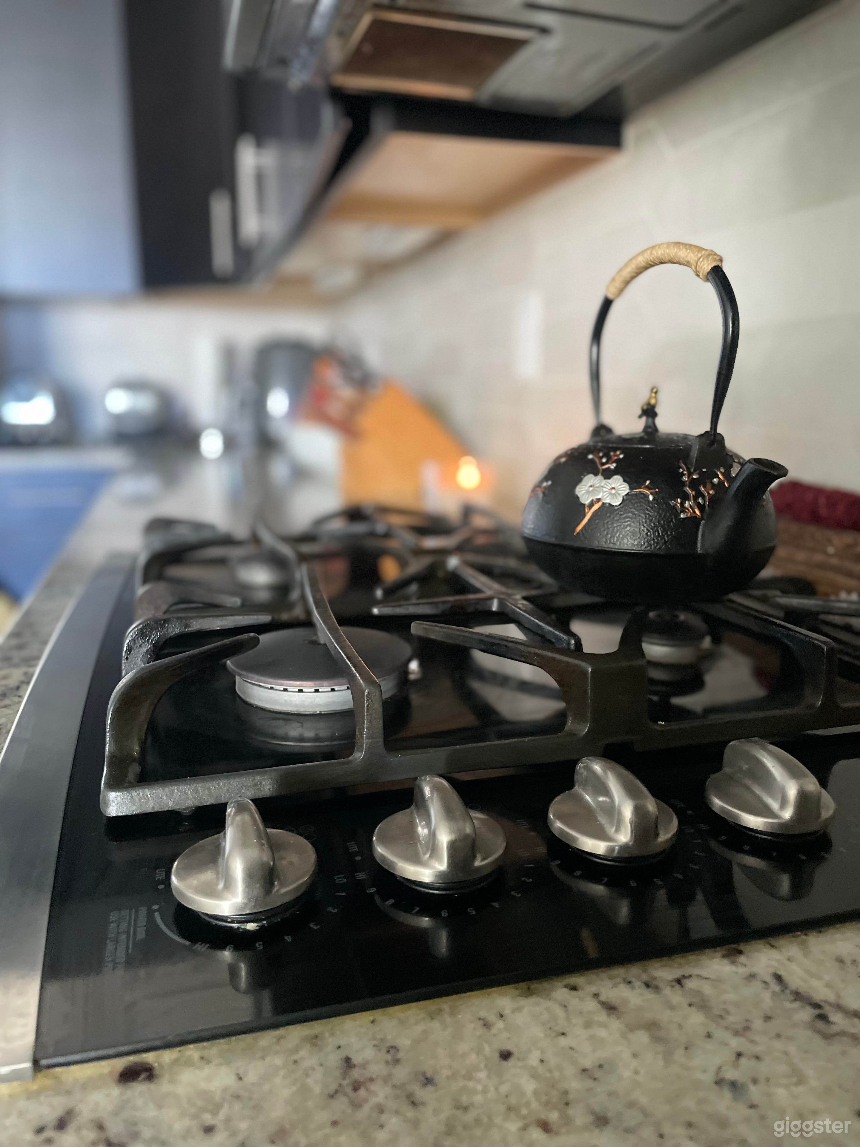 Modern Luxury Kitchen  Photo 2