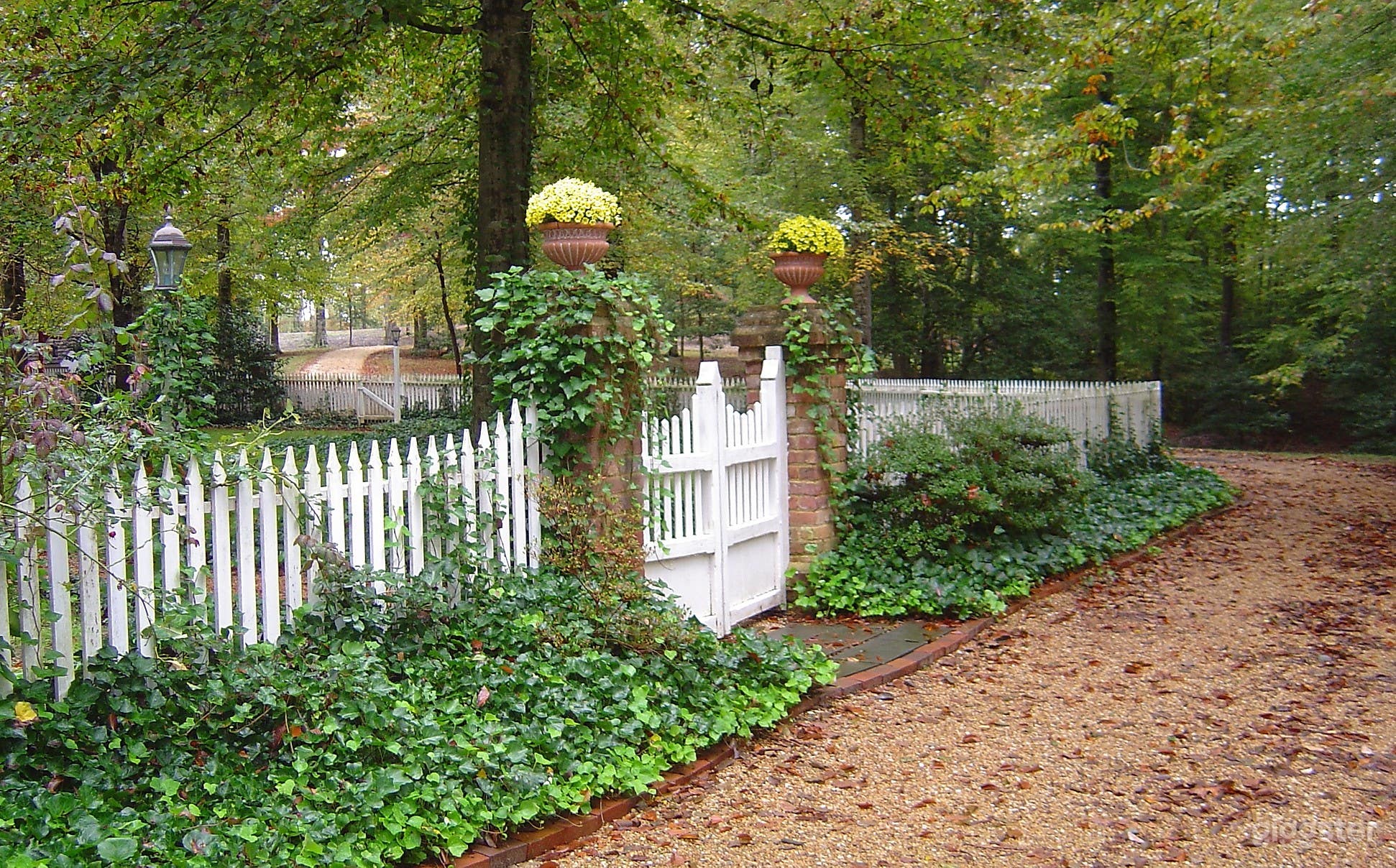 Front Drive and Gates