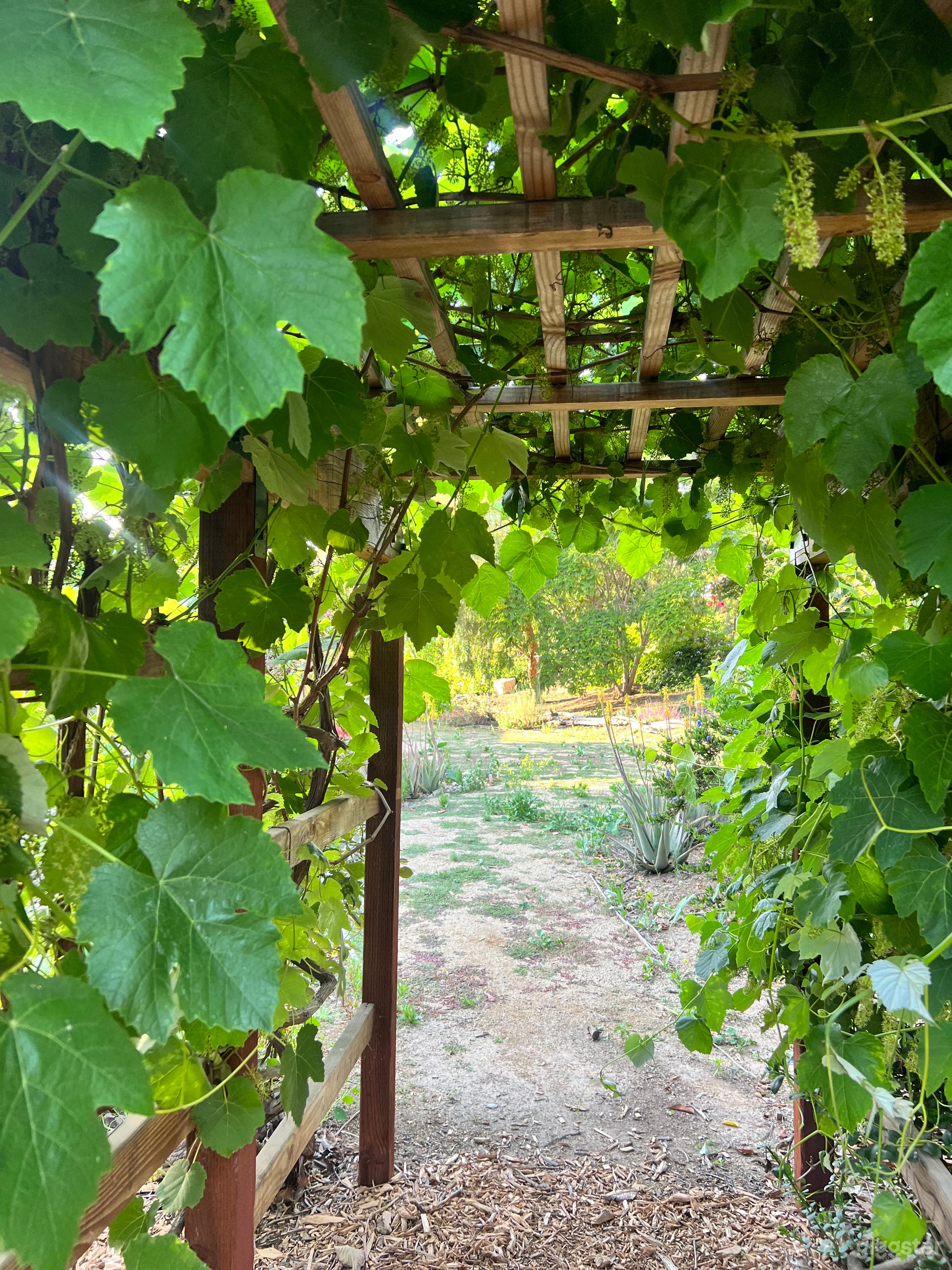 Flat 2 – Acre Horse Ranch: Barn, Corral & Orchard Photo 3