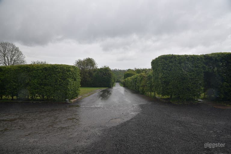  From Barn doors looking at driveway 