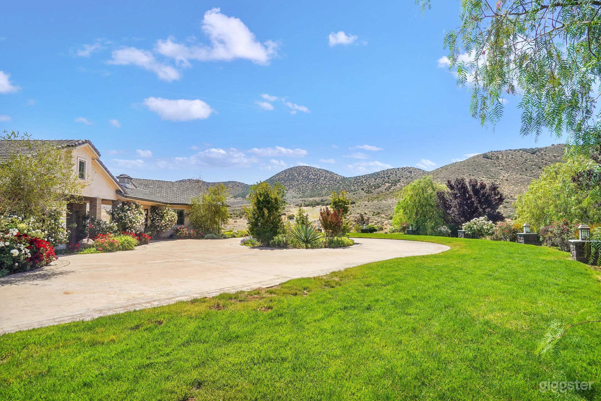 Front yard and hillside views