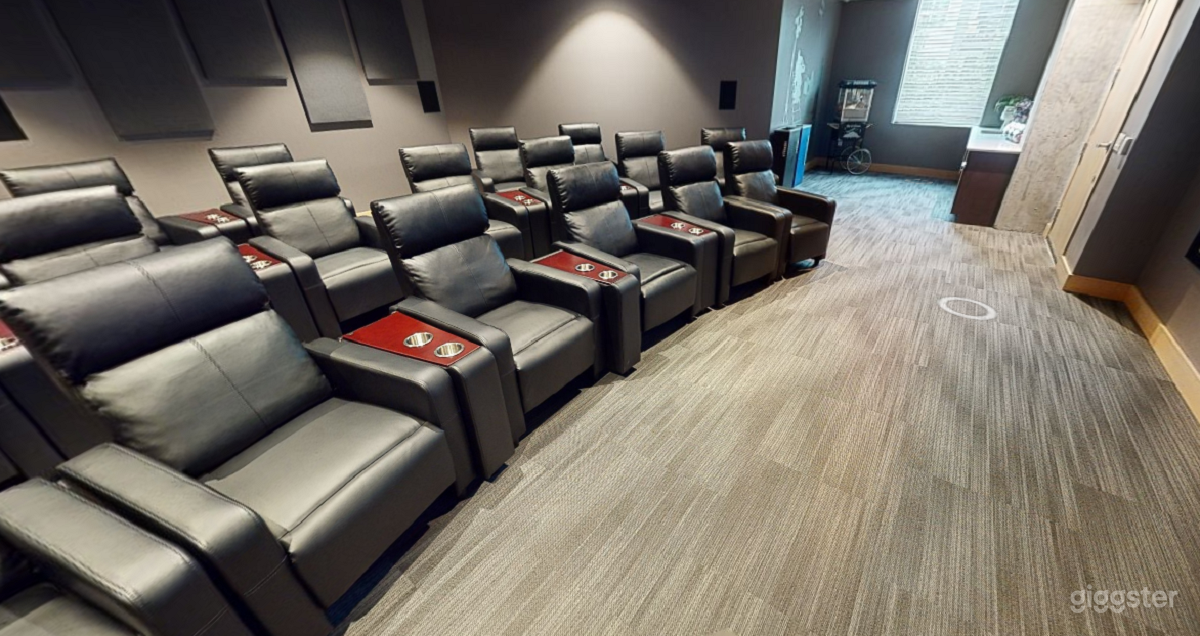 Plush Theater Room in Bellevue Photo 4