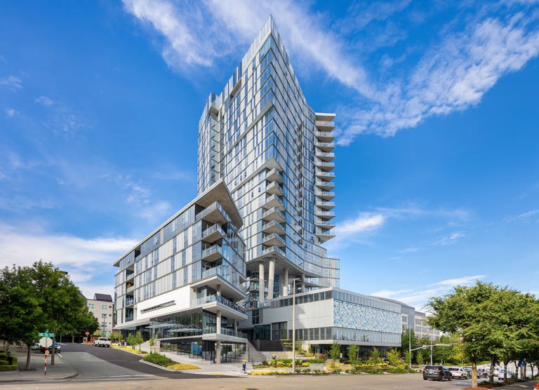  Plush Theater Room in Bellevue 