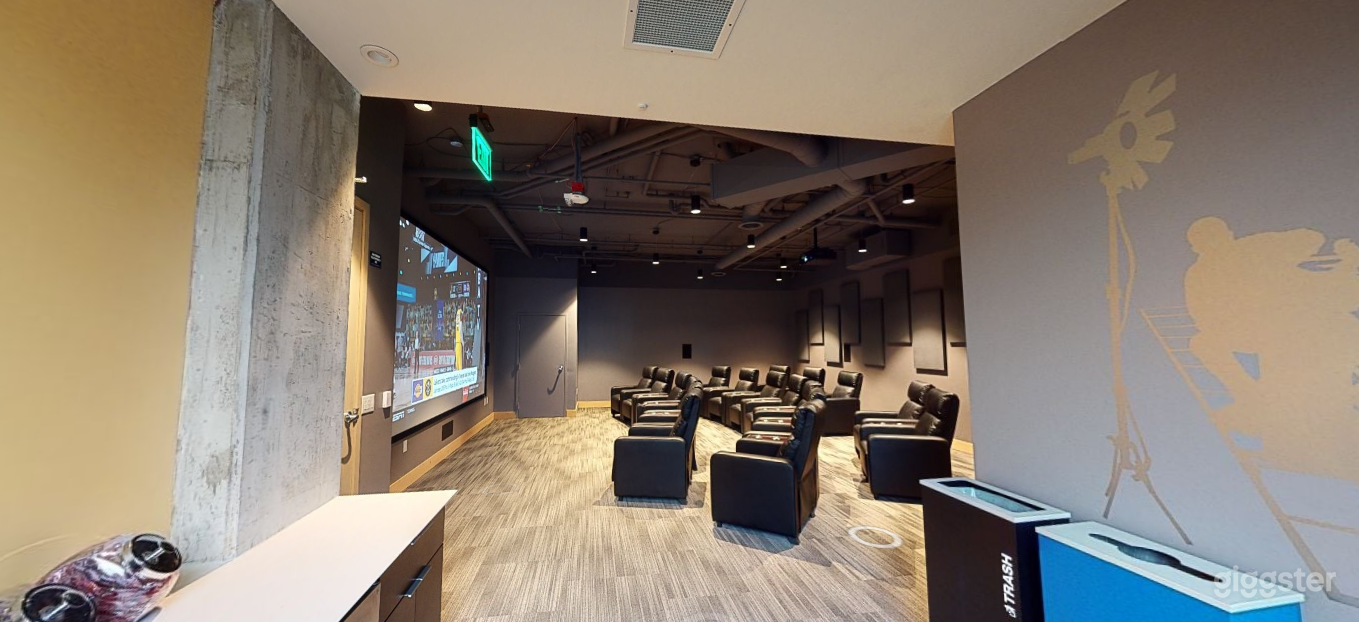 Plush Theater Room in Bellevue Photo 2