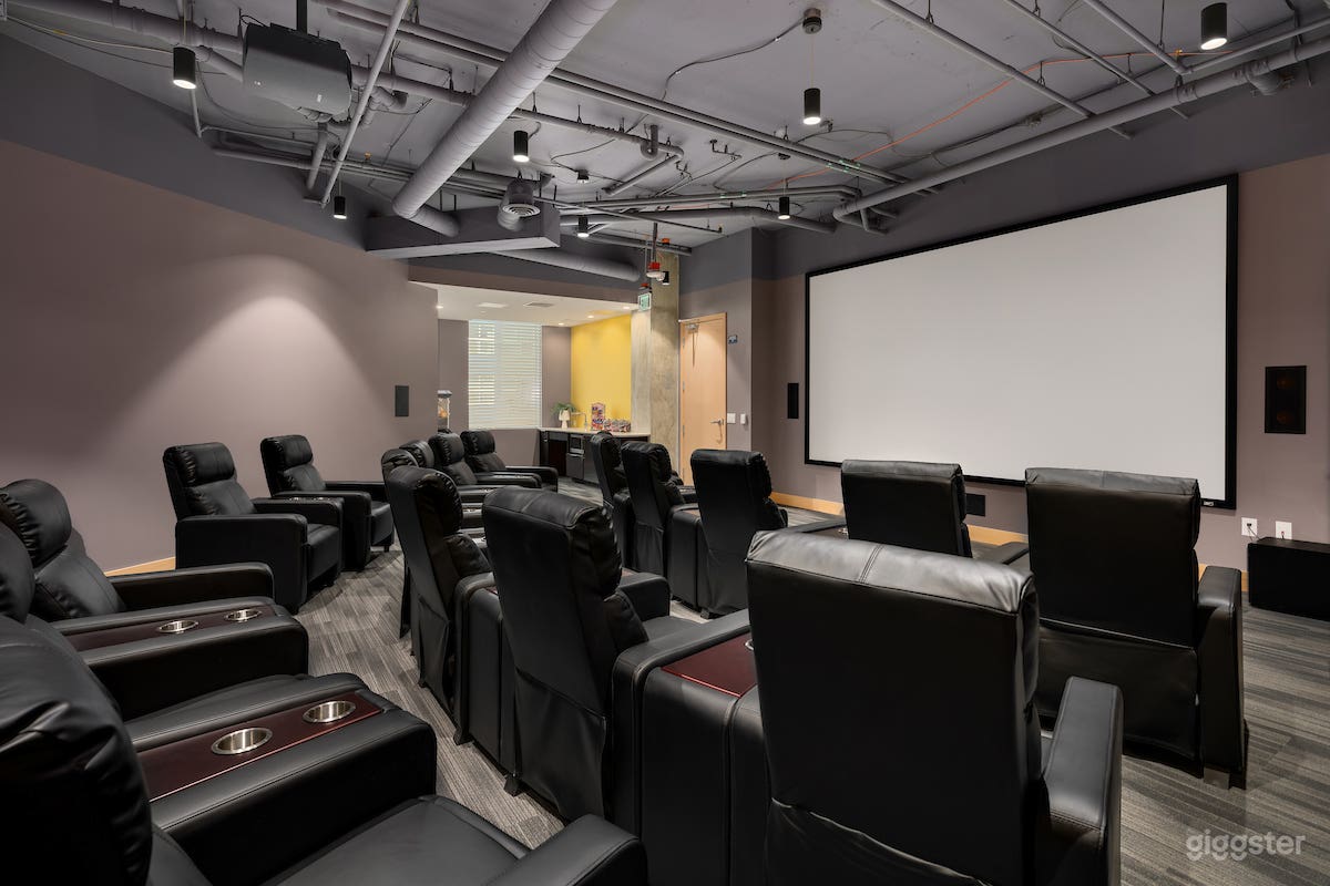 Plush Theater Room in Bellevue Photo 1
