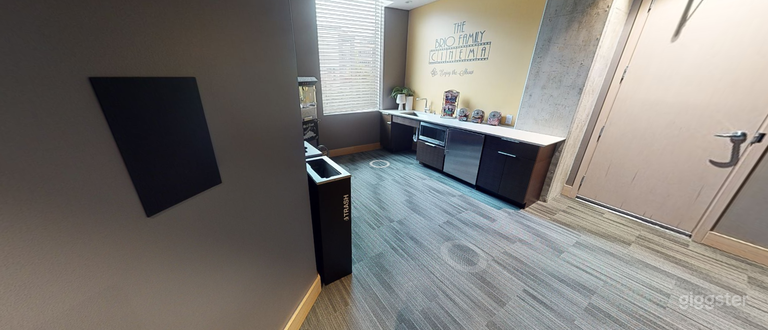  Plush Theater Room in Bellevue 