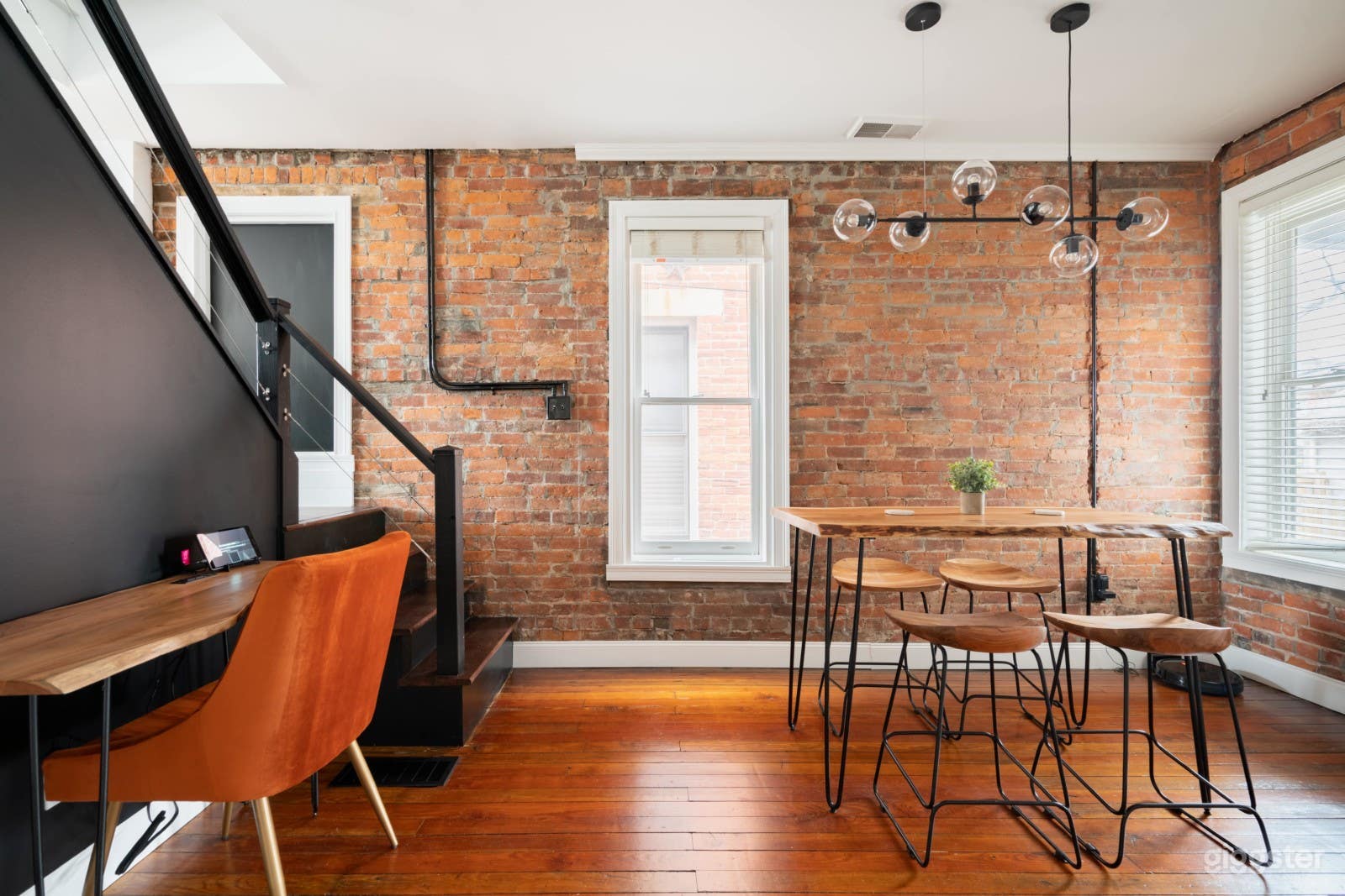 Urban Jungle, NEW LUXE HOME PET FRIENDLY Photo 3