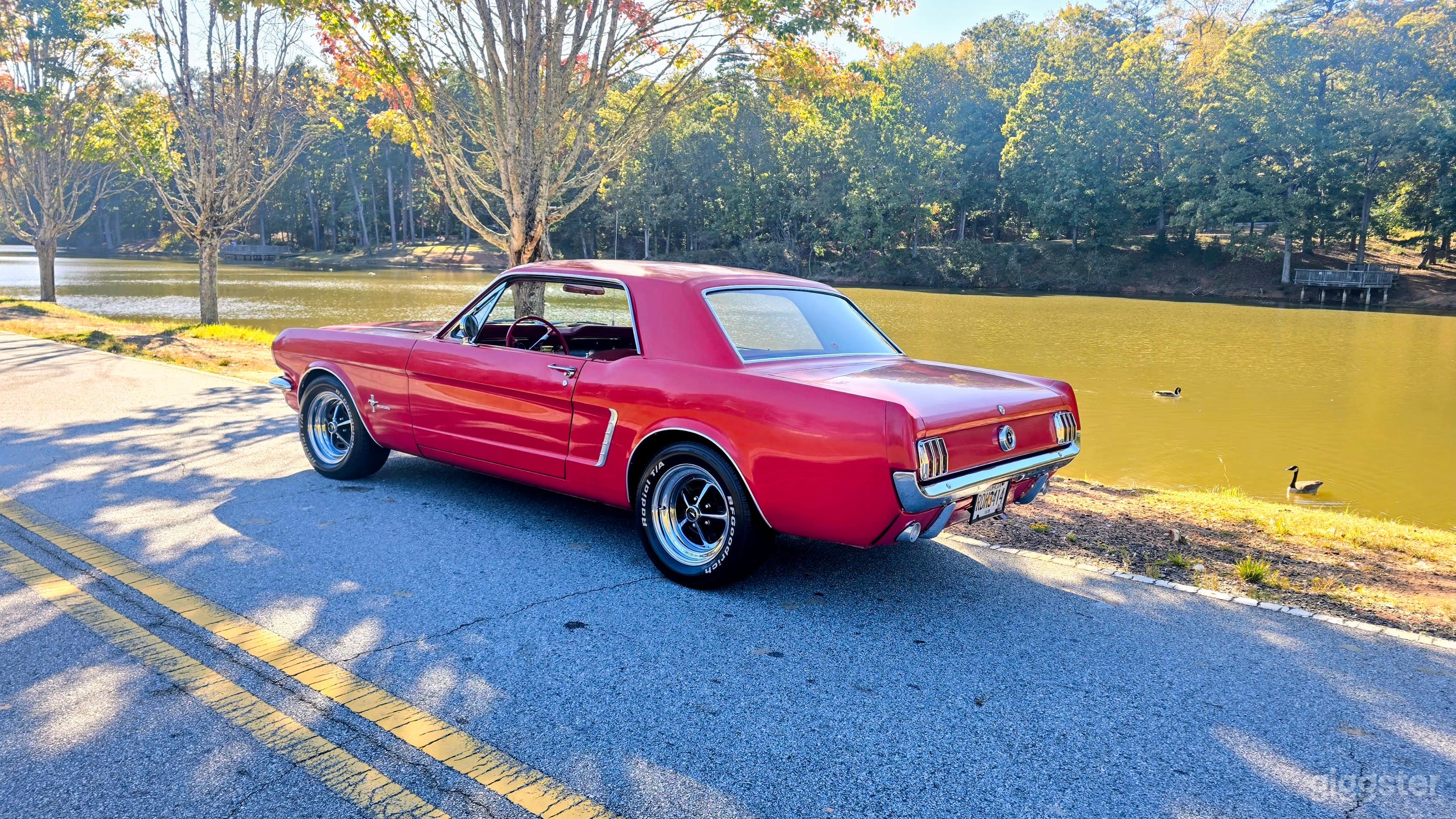 "Local Locations" 1965 Mustang, Rental. Photo 4