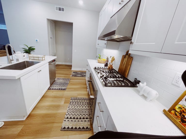  Suburban Modern Home with beautiful open kitchen 