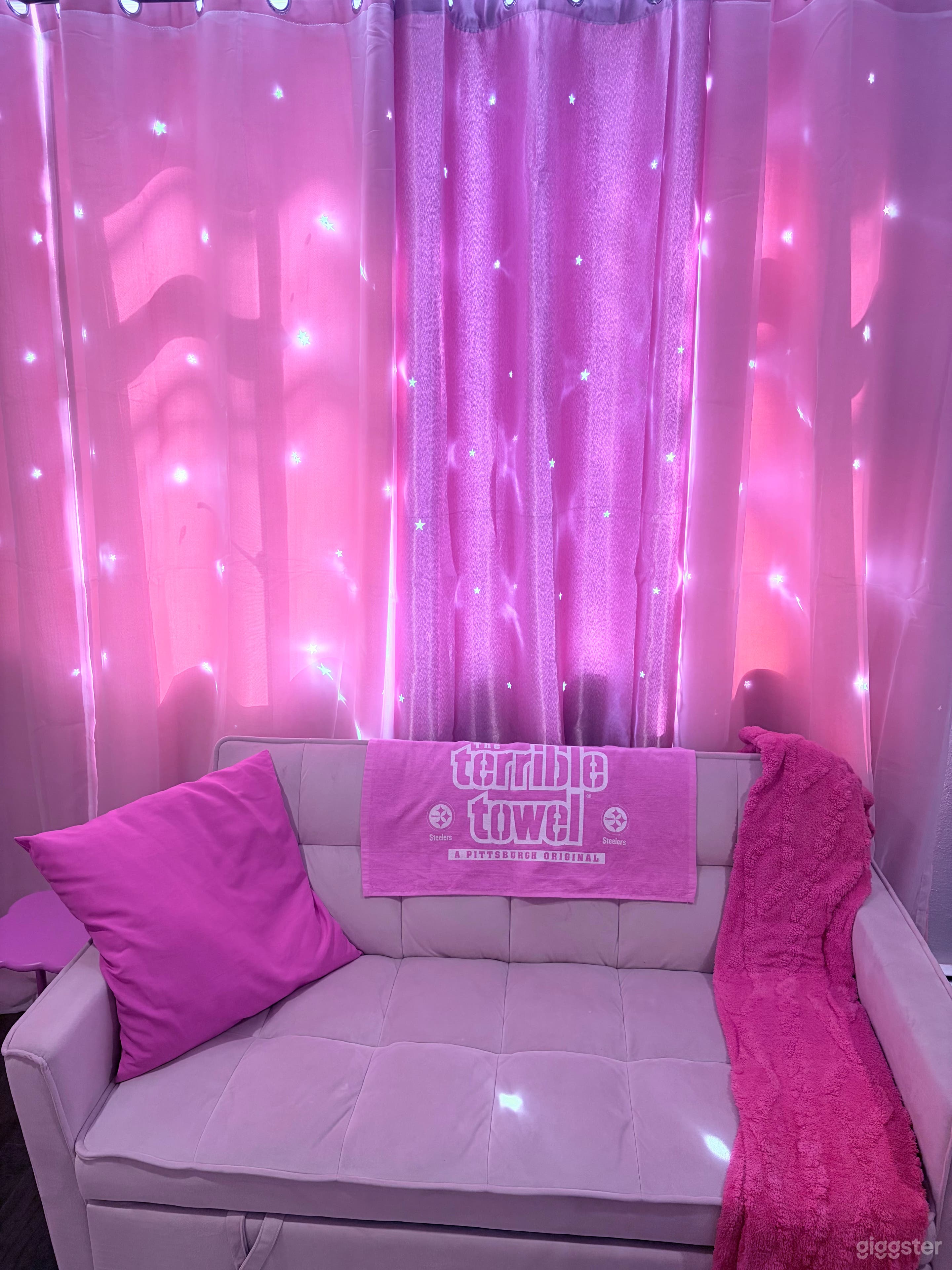 Pink House Pittsburgh - Great for Photo Shoots & Production! Photo 2