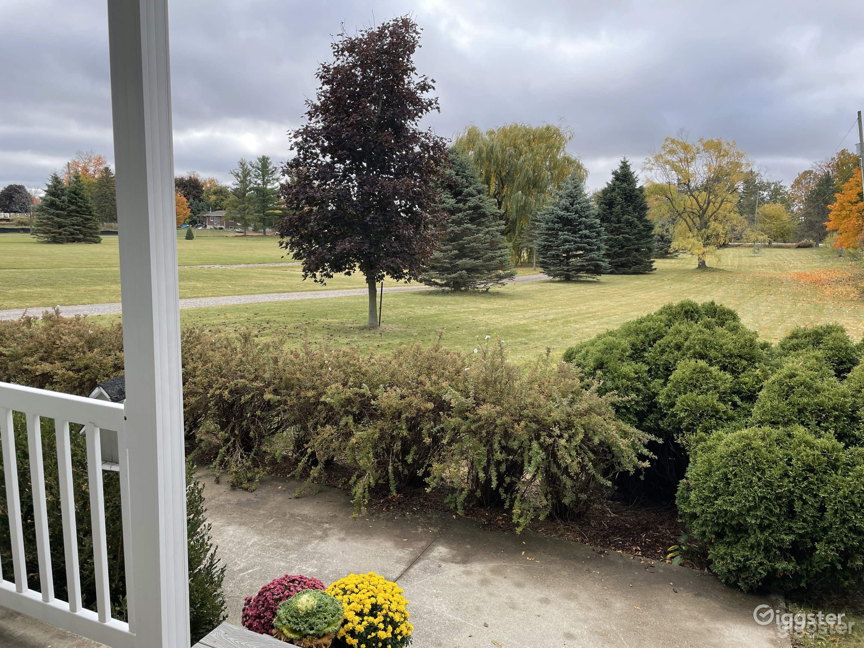 Large Professional Volleyball Court  Photo 4