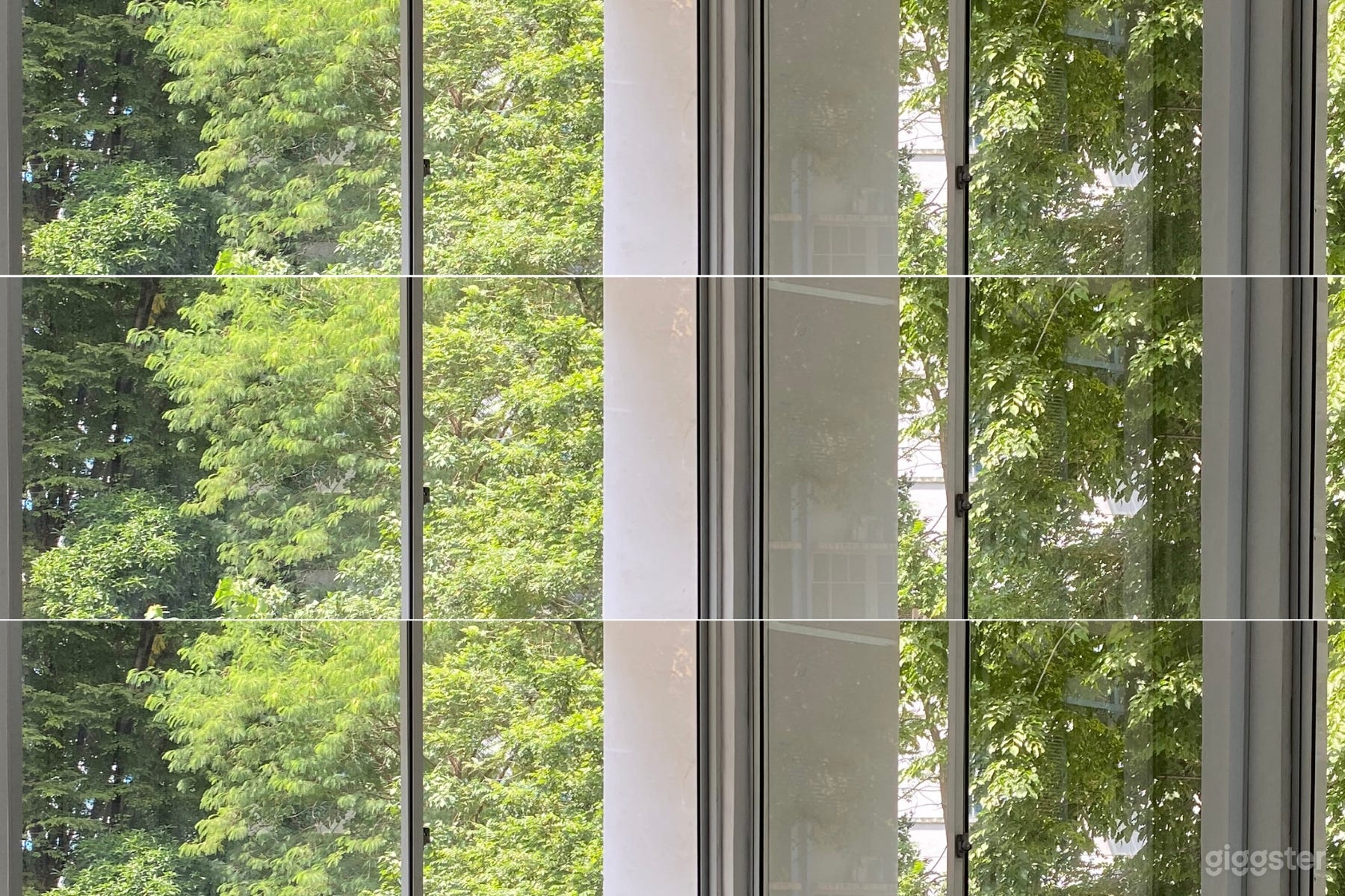 Our 767 sq ft studio has great natural light, large window frames and is surrounded by lush, verdant greenery.