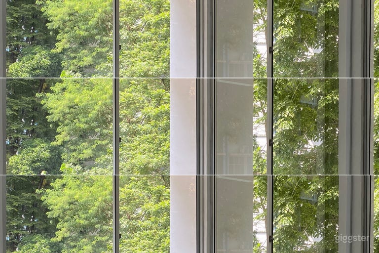  Our 767 sq ft studio has great natural light, large window frames and is surrounded by lush, verdant greenery. 