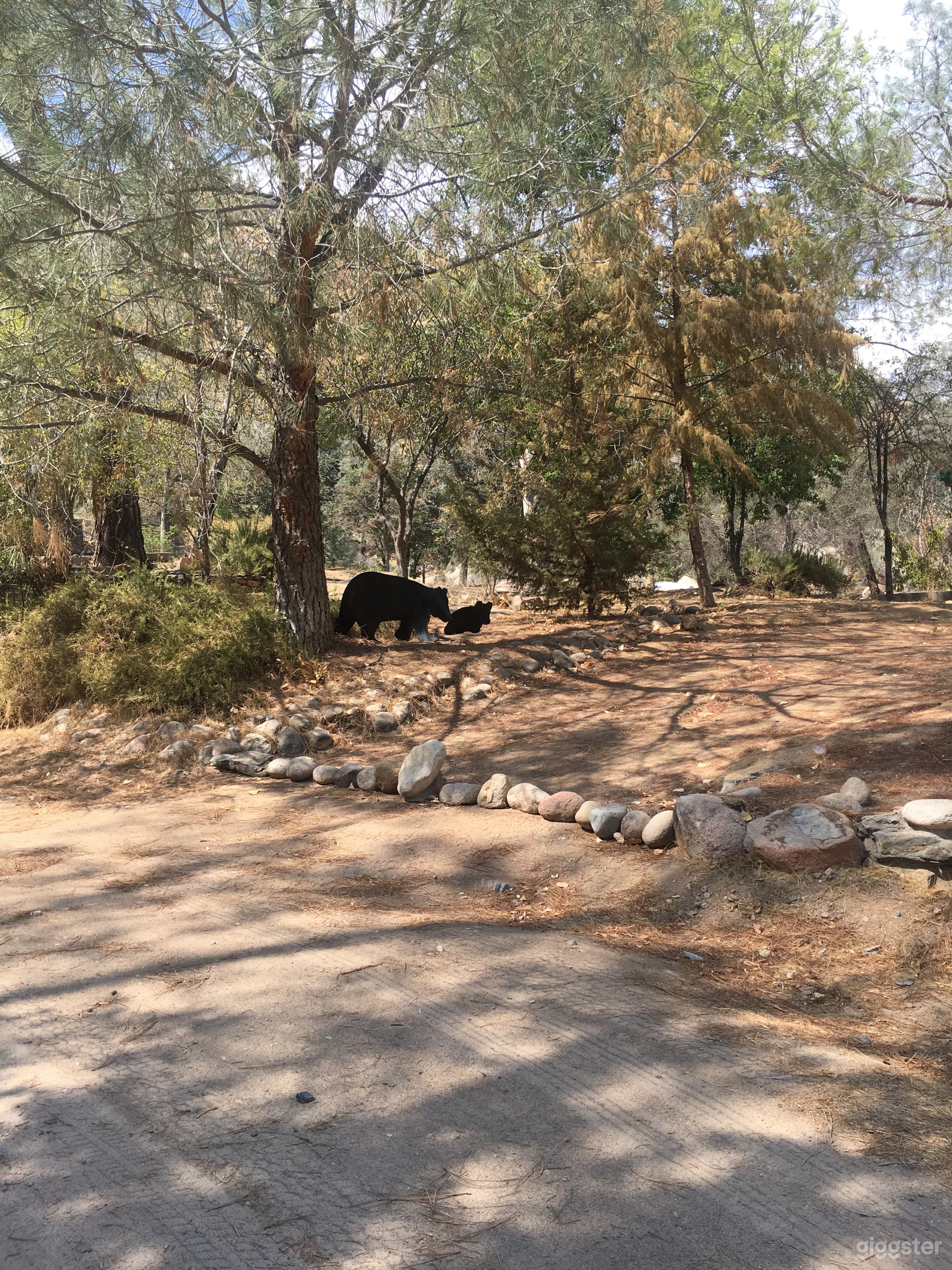 drive up to the place...dirt road