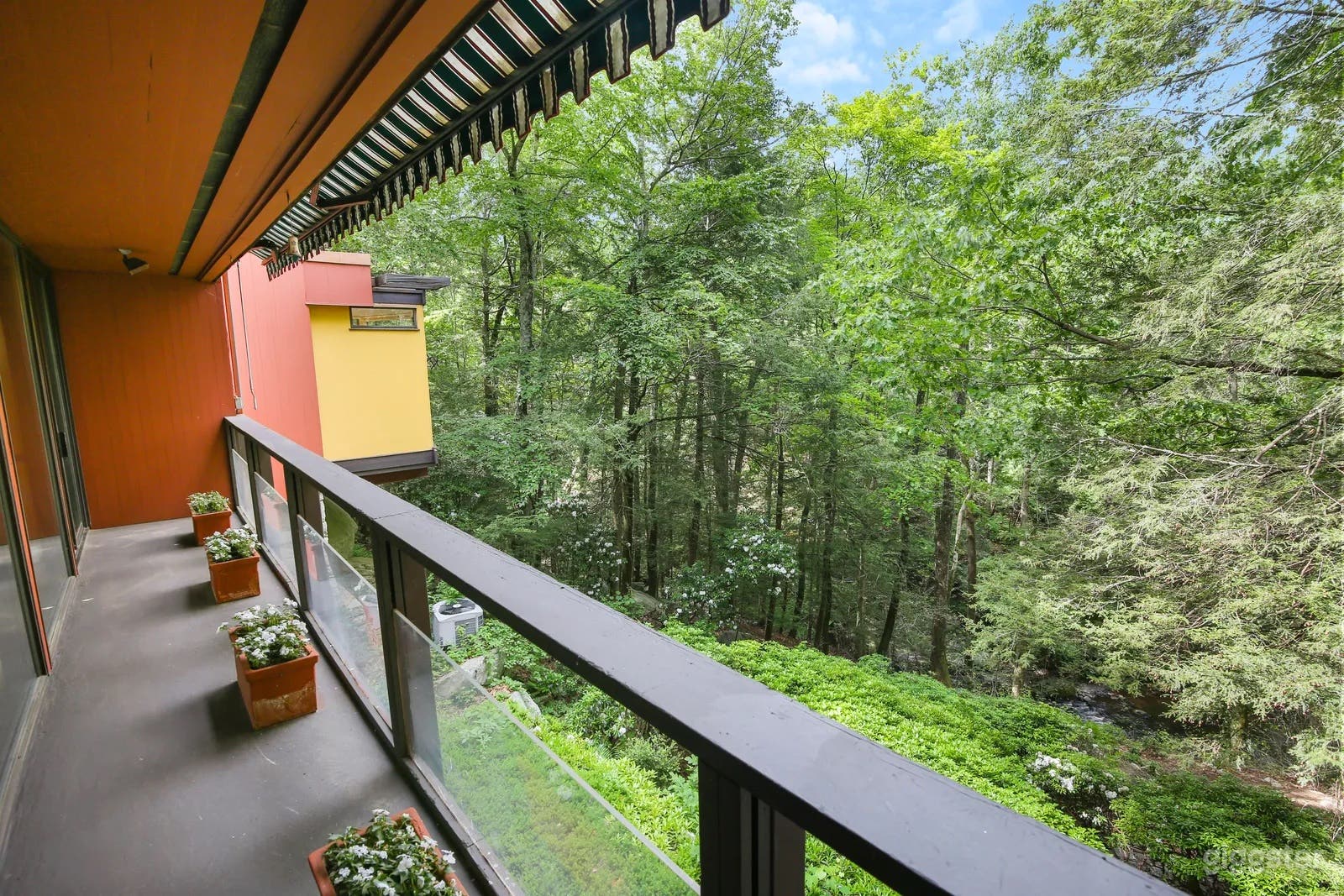 MidCentury-Modern Forest Oasis Photo 4