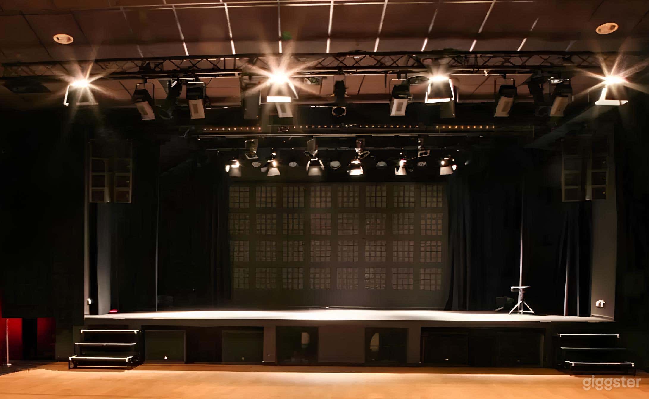 The Auditorium in Paris Photo 2