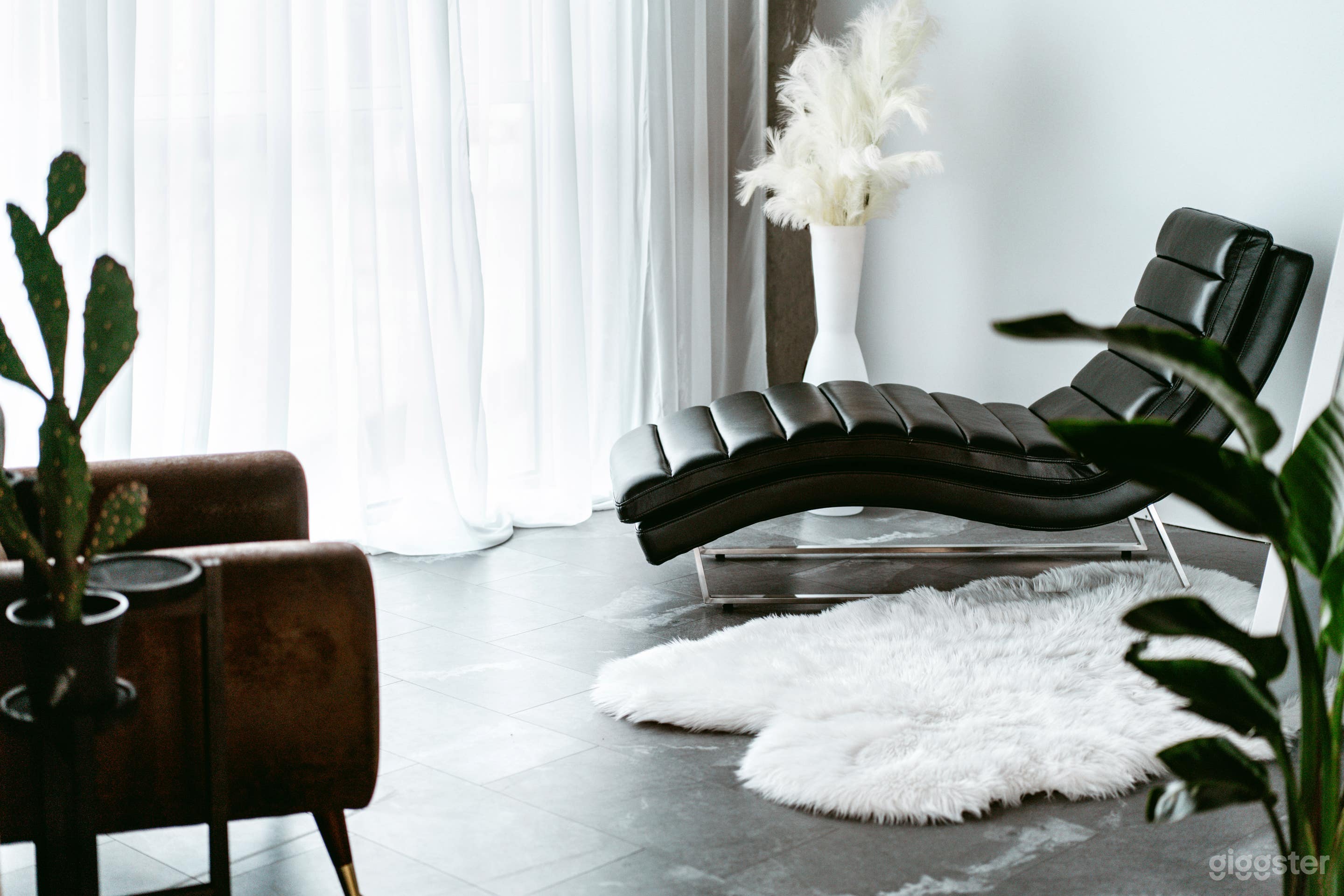 Bright and Spacious Port Coquitlam Studio Photo 2