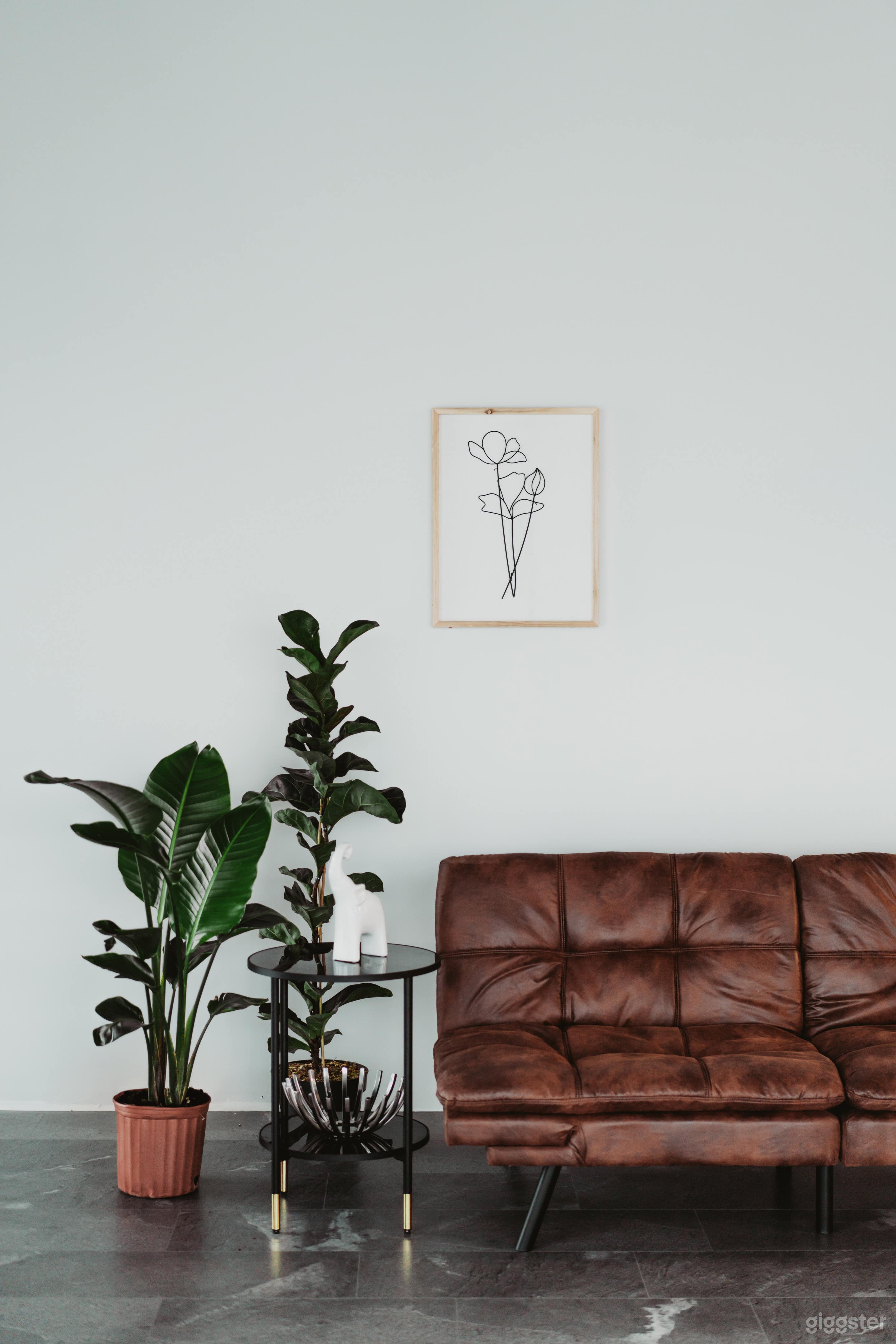 Bright and Spacious Port Coquitlam Studio Photo 3