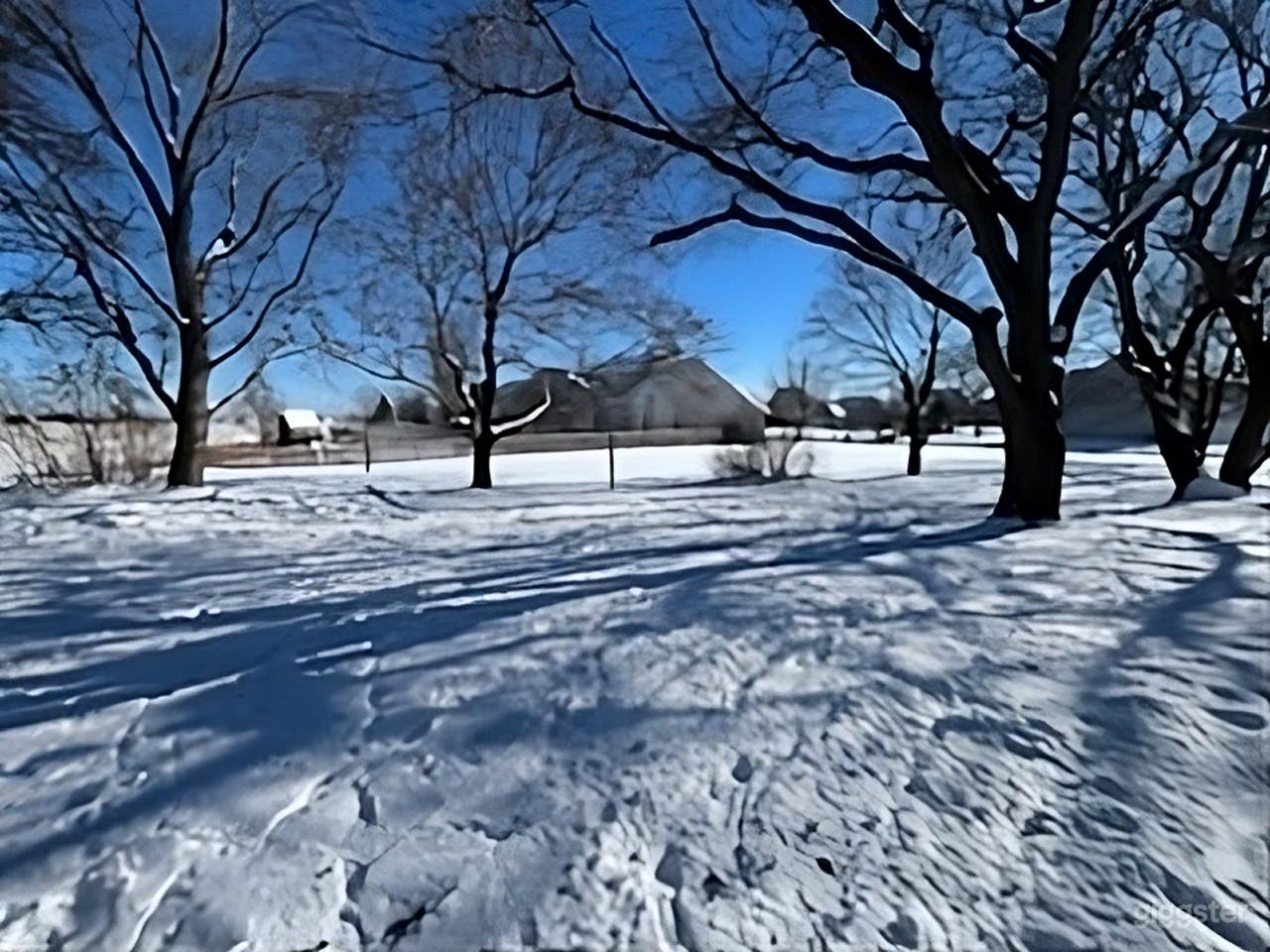 Large Backyard with Mature Trees Photo 4