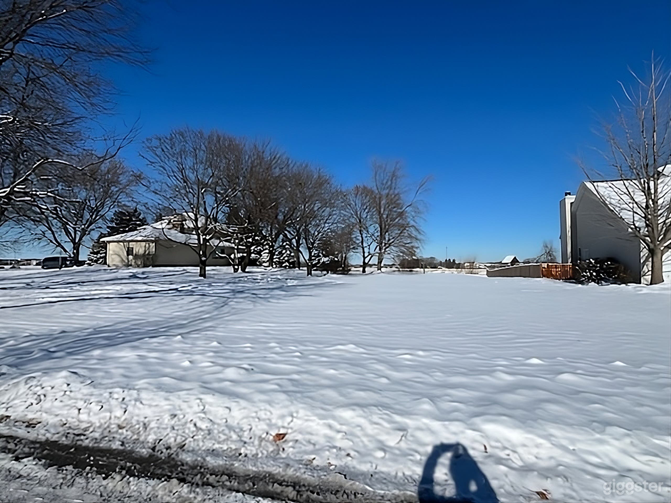 Large Backyard with Mature Trees Photo 3