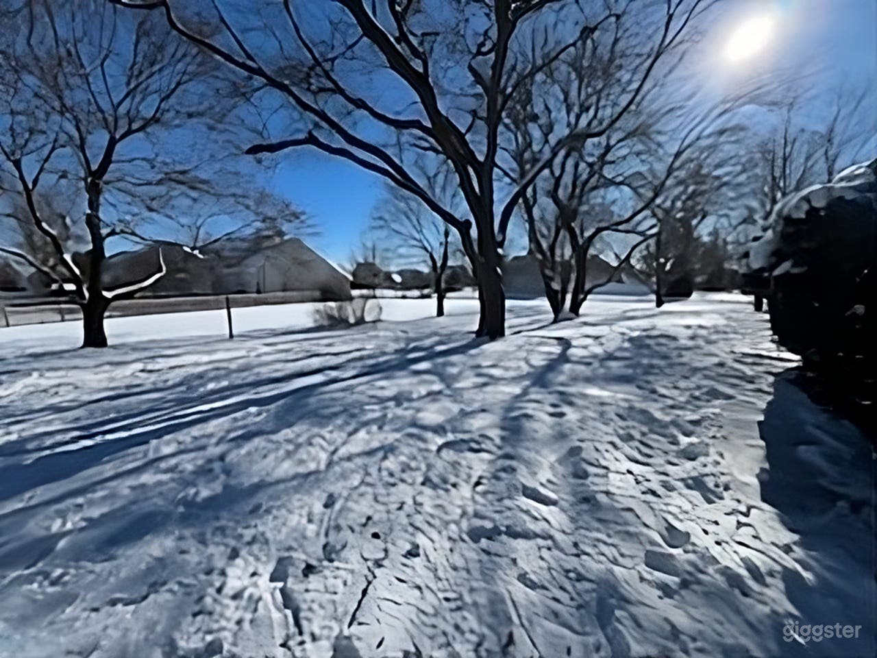 Large Backyard with Mature Trees Photo 1