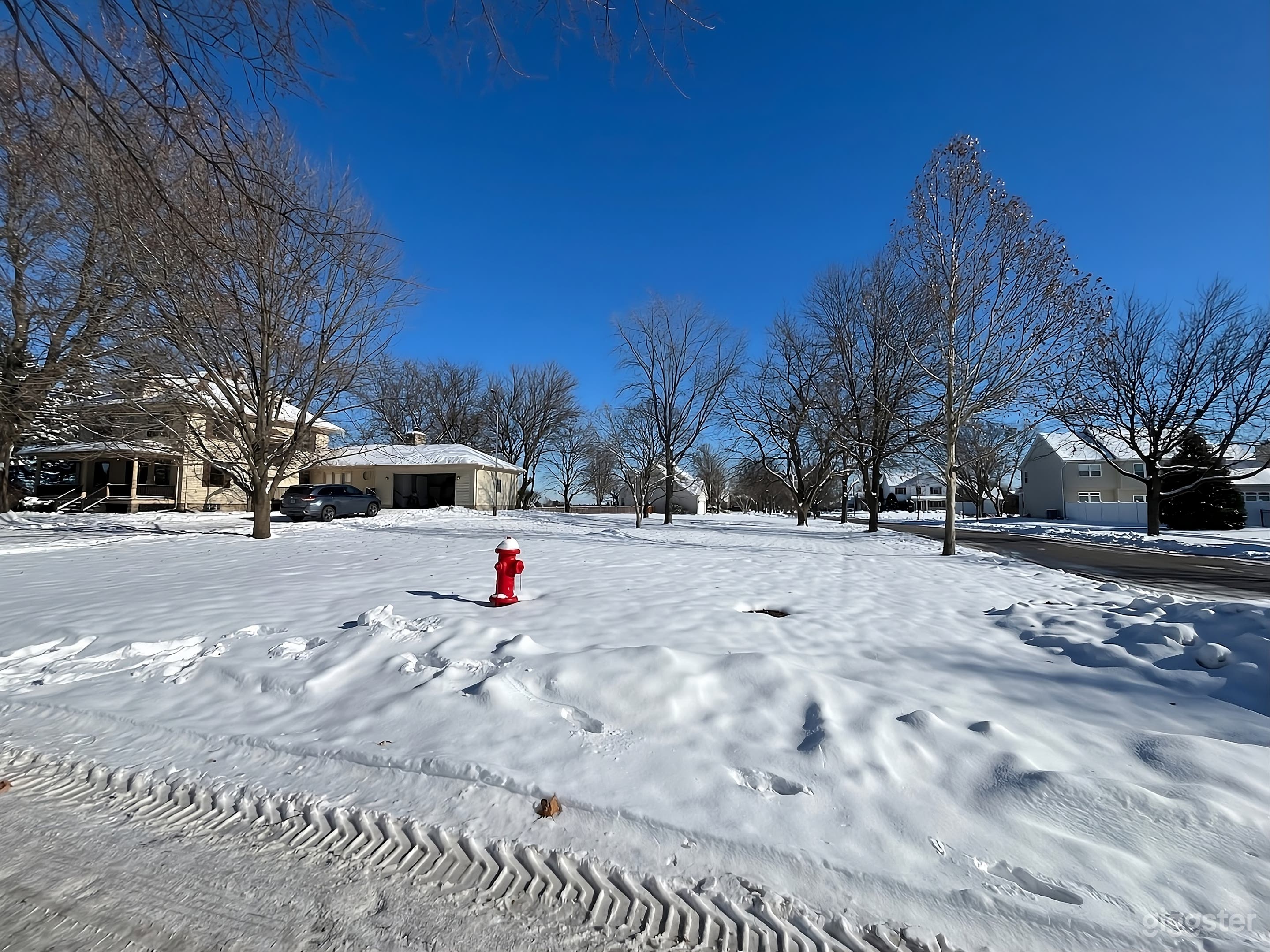 Large Backyard with Mature Trees Photo 2