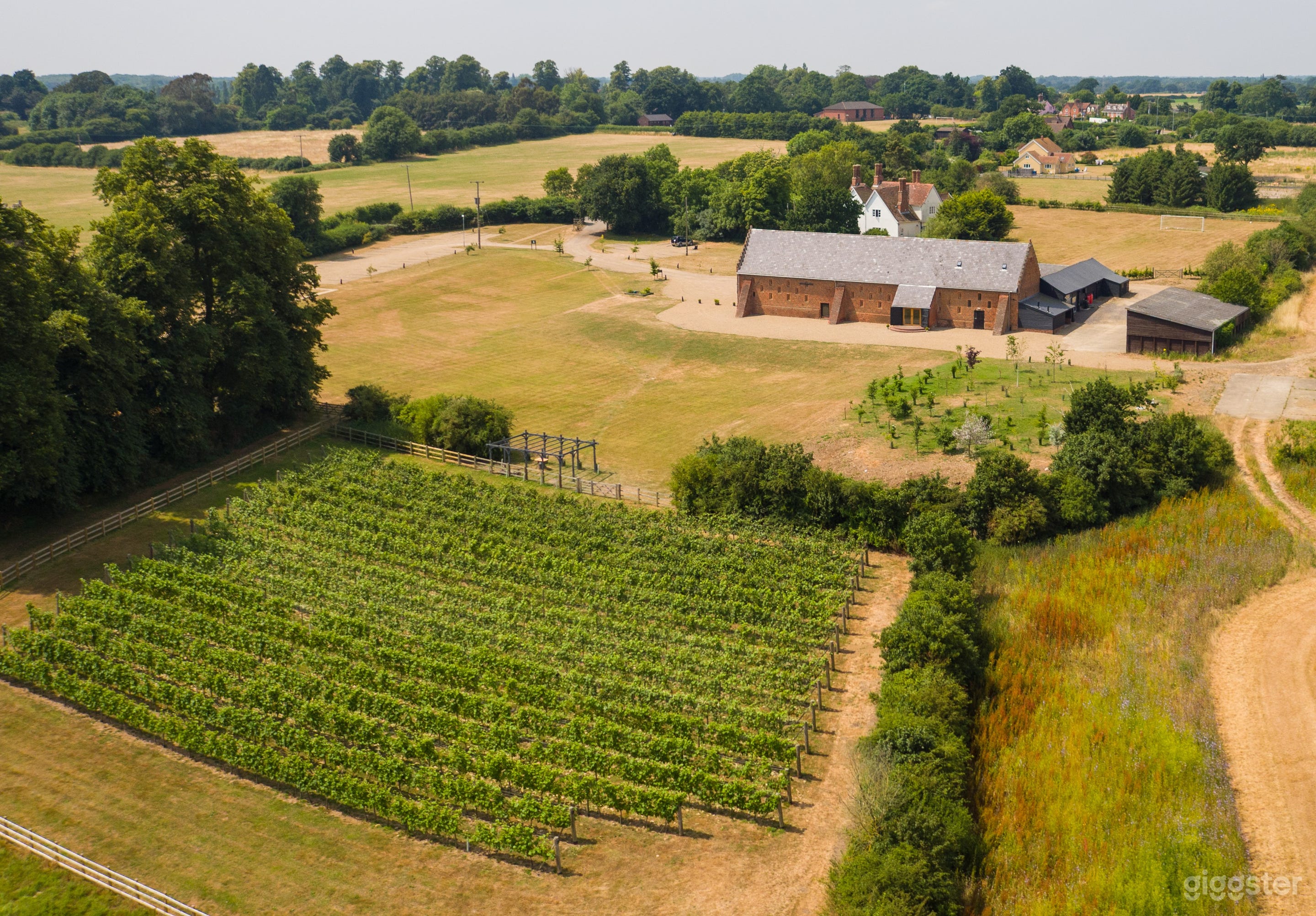 Vineyard and barn
