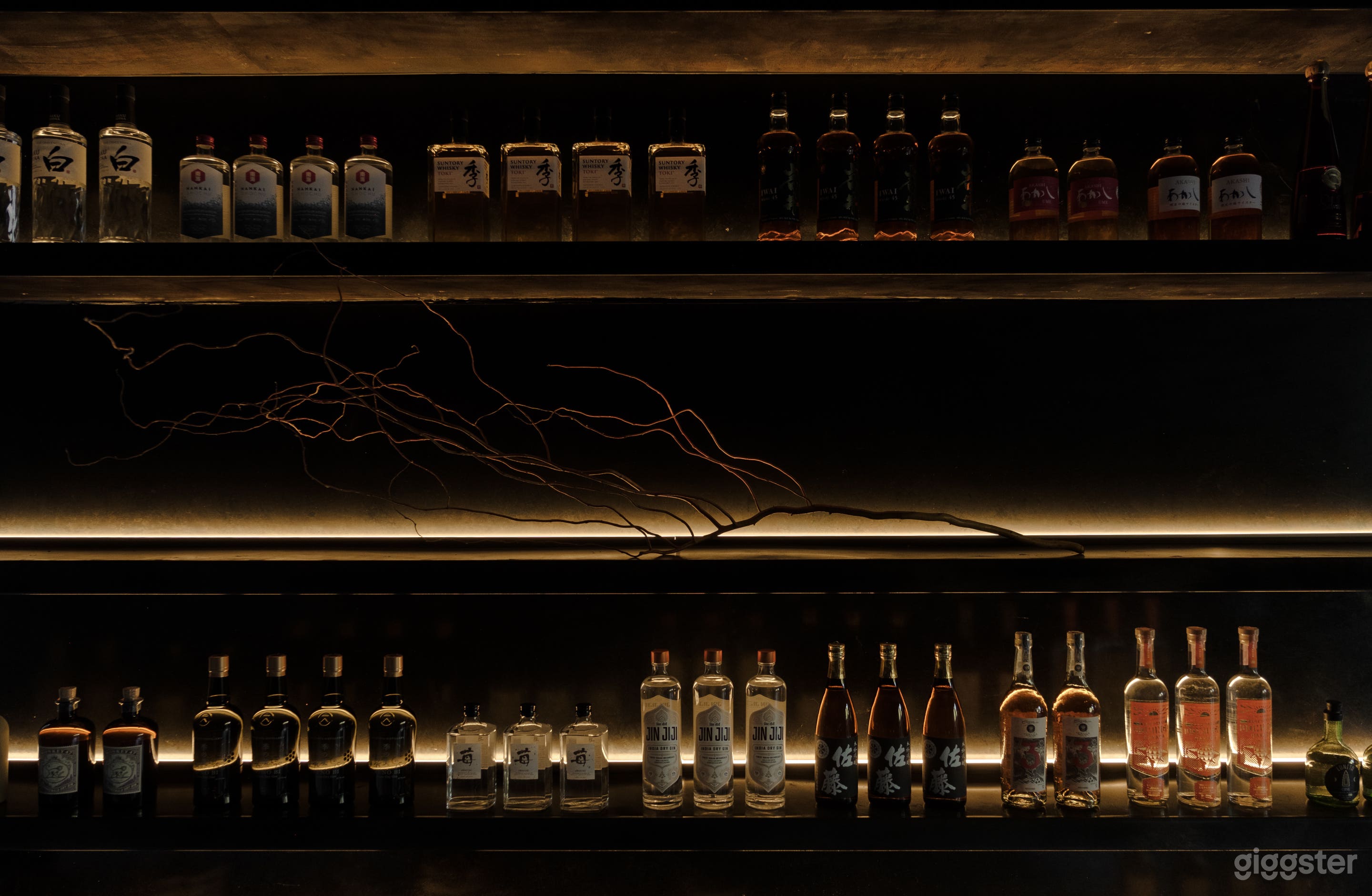 Elegant Dining Room Photo 4