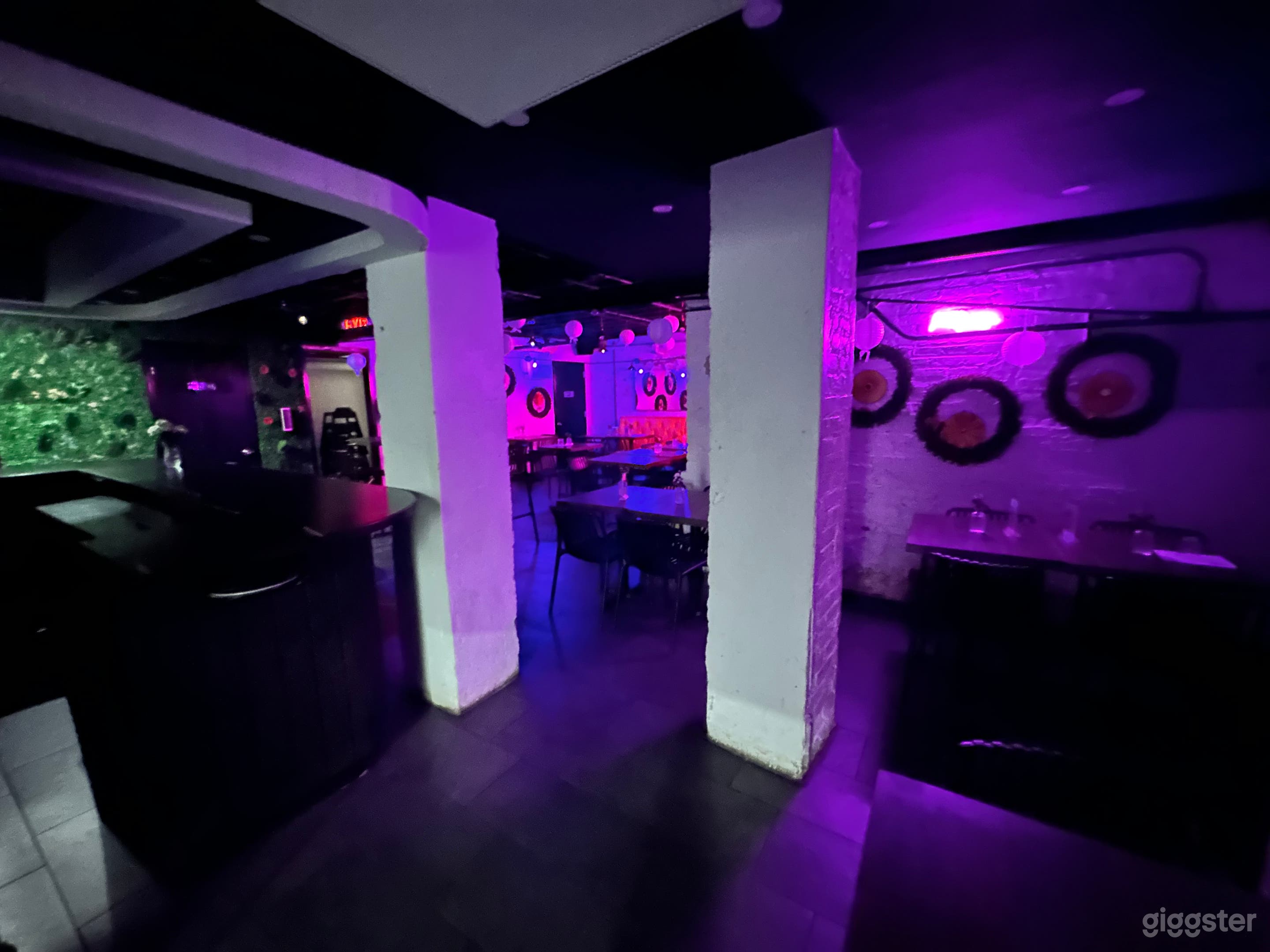 Private Garden Lounge in the heart of Williamsburg Photo 4