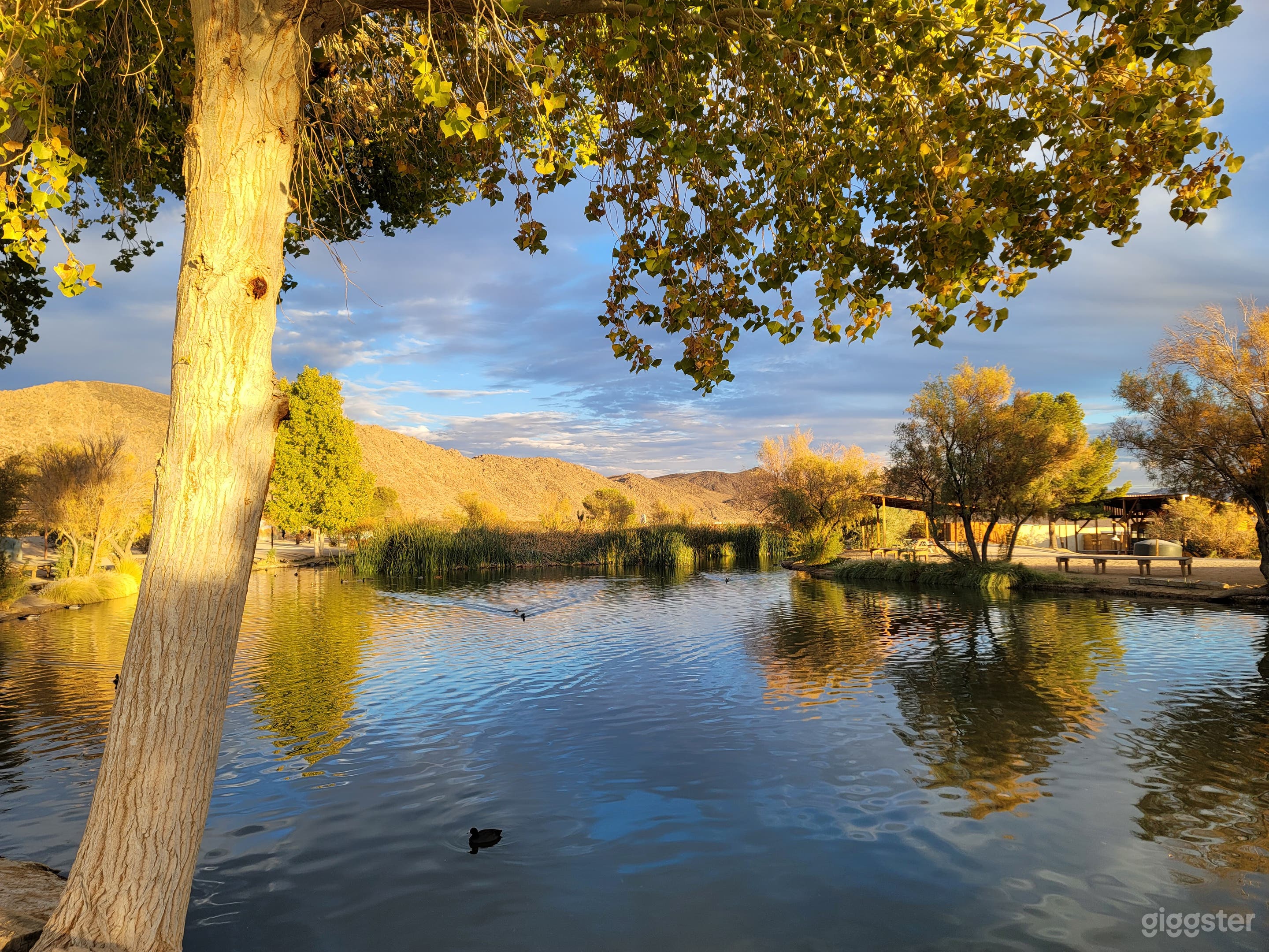 A Relaxing Venue With Lakeside Views And Desert Valley  (Full Buy Out) Photo 3