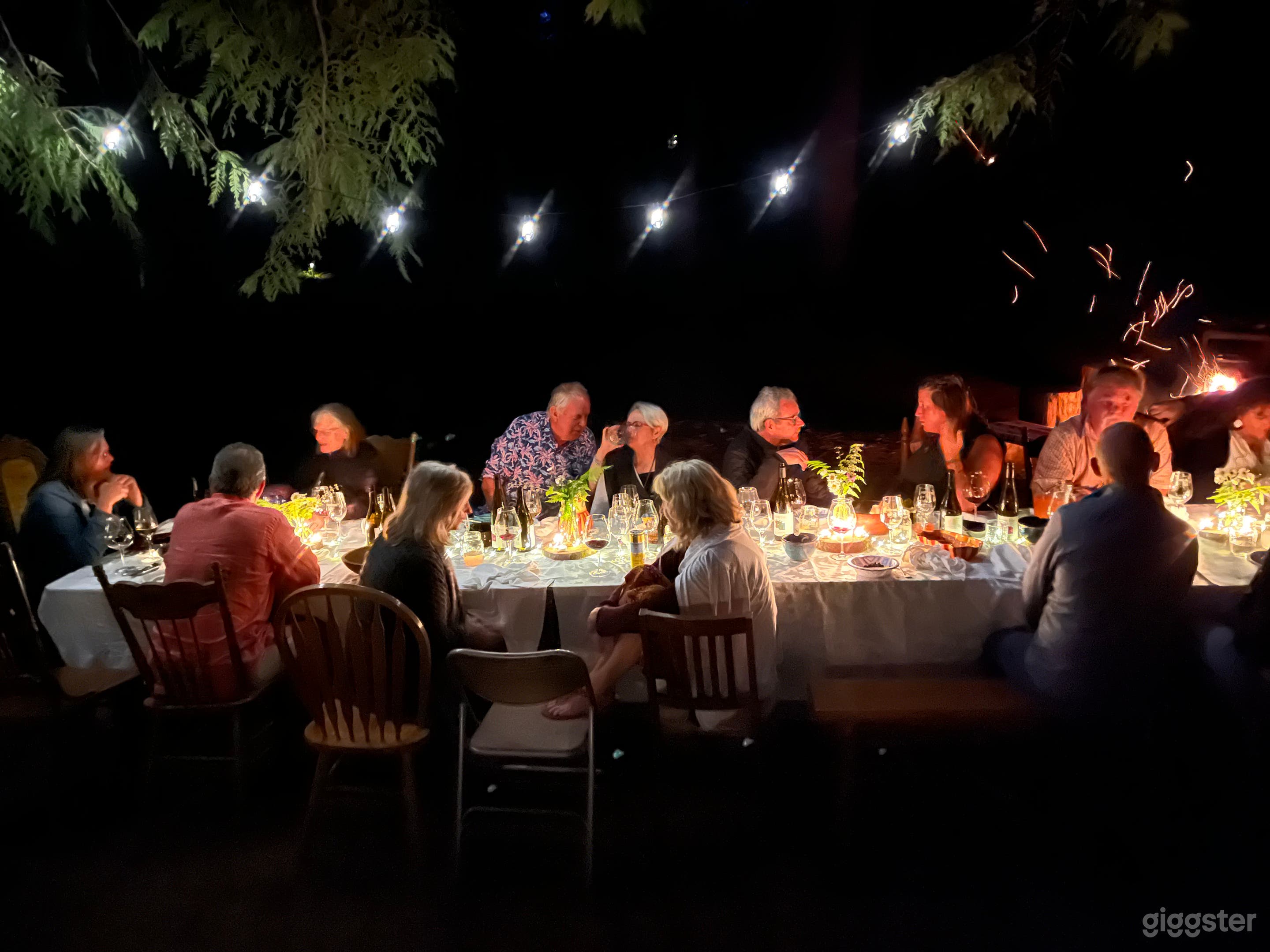 Dinner in the forest.