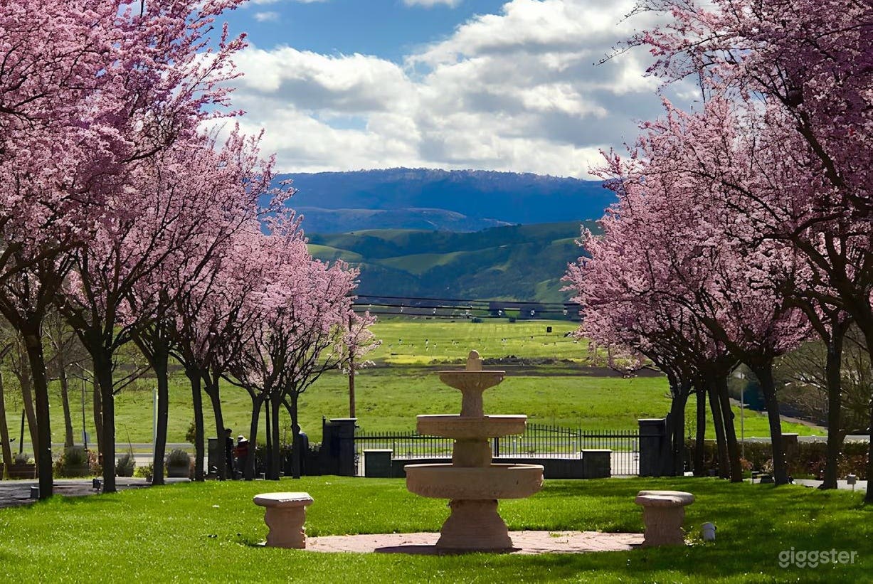 Garden Venue with Fountain Photo 4