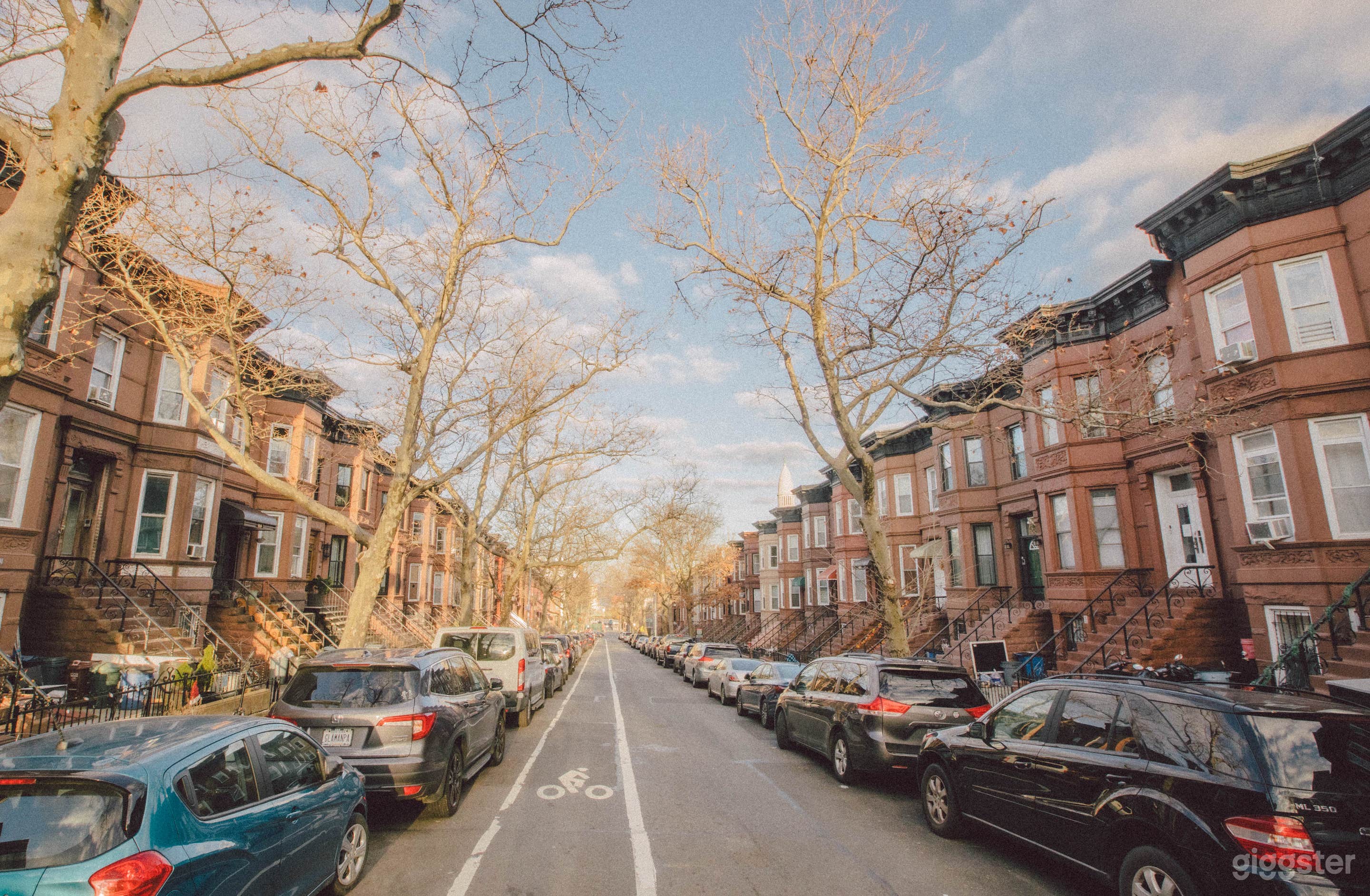 Historic Brownstone in Sunset Park Photo 2