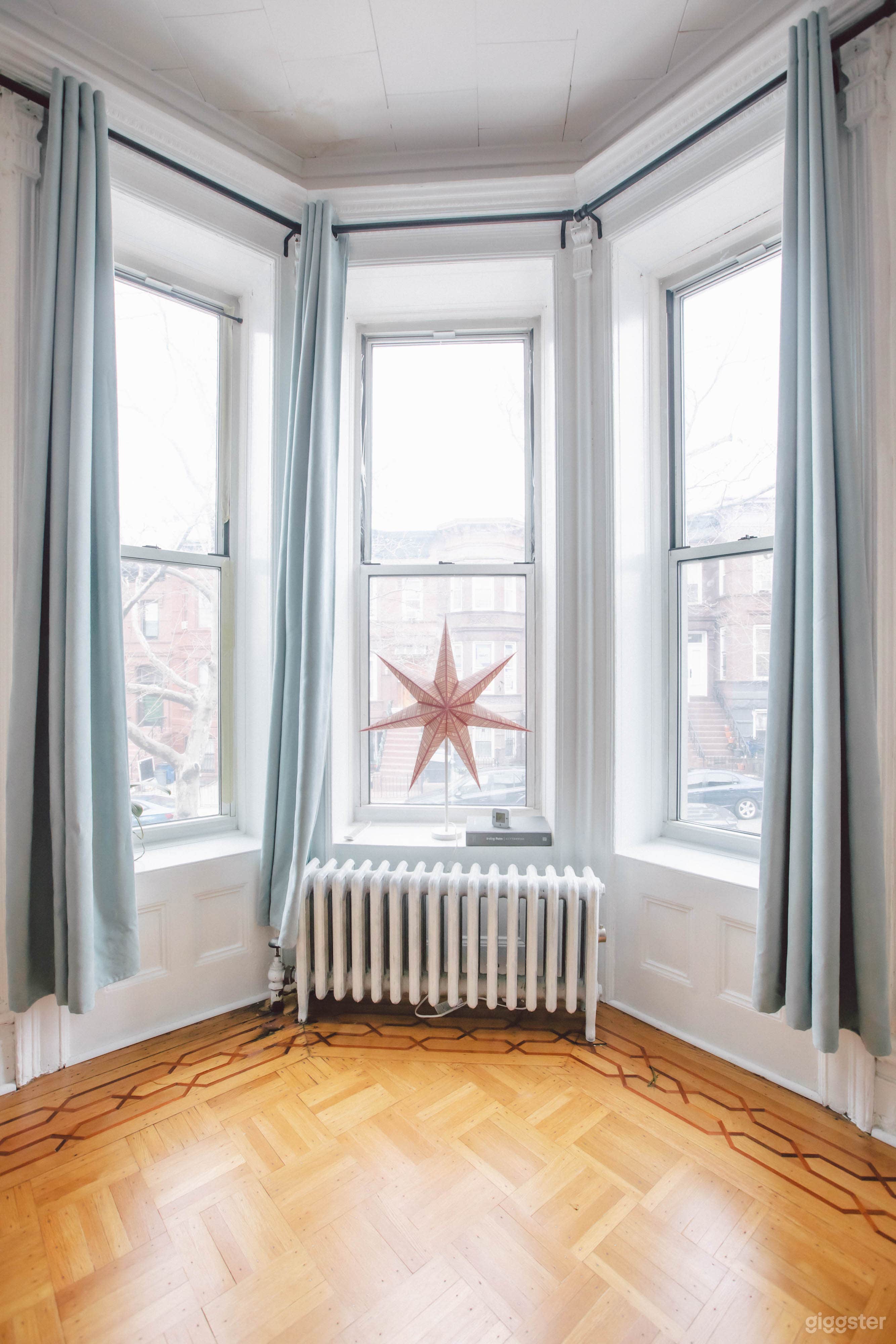 Historic Brownstone in Sunset Park Photo 3