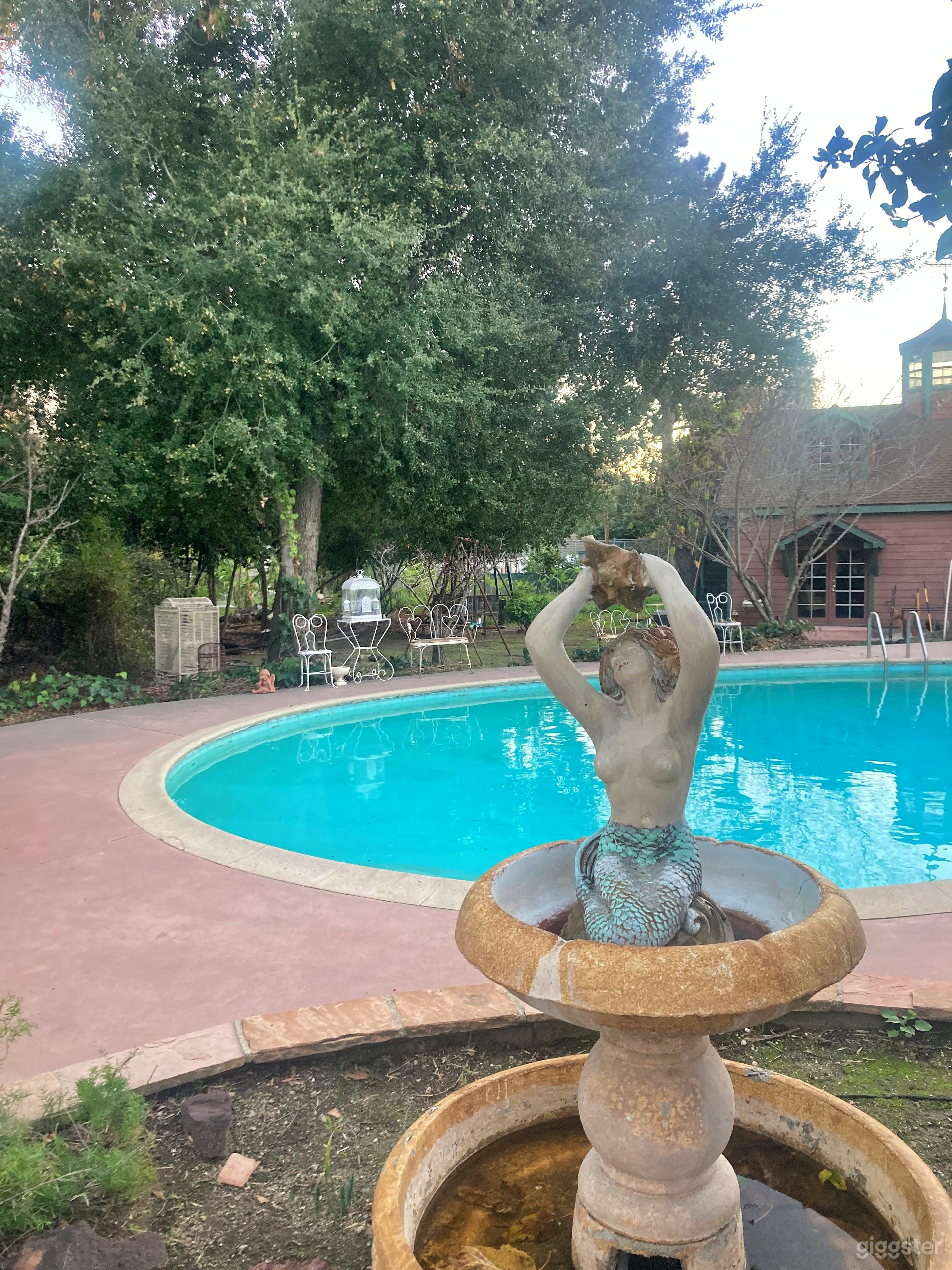 Sparkling Pool, Diving Board, Pergola with Hot tub Photo 4