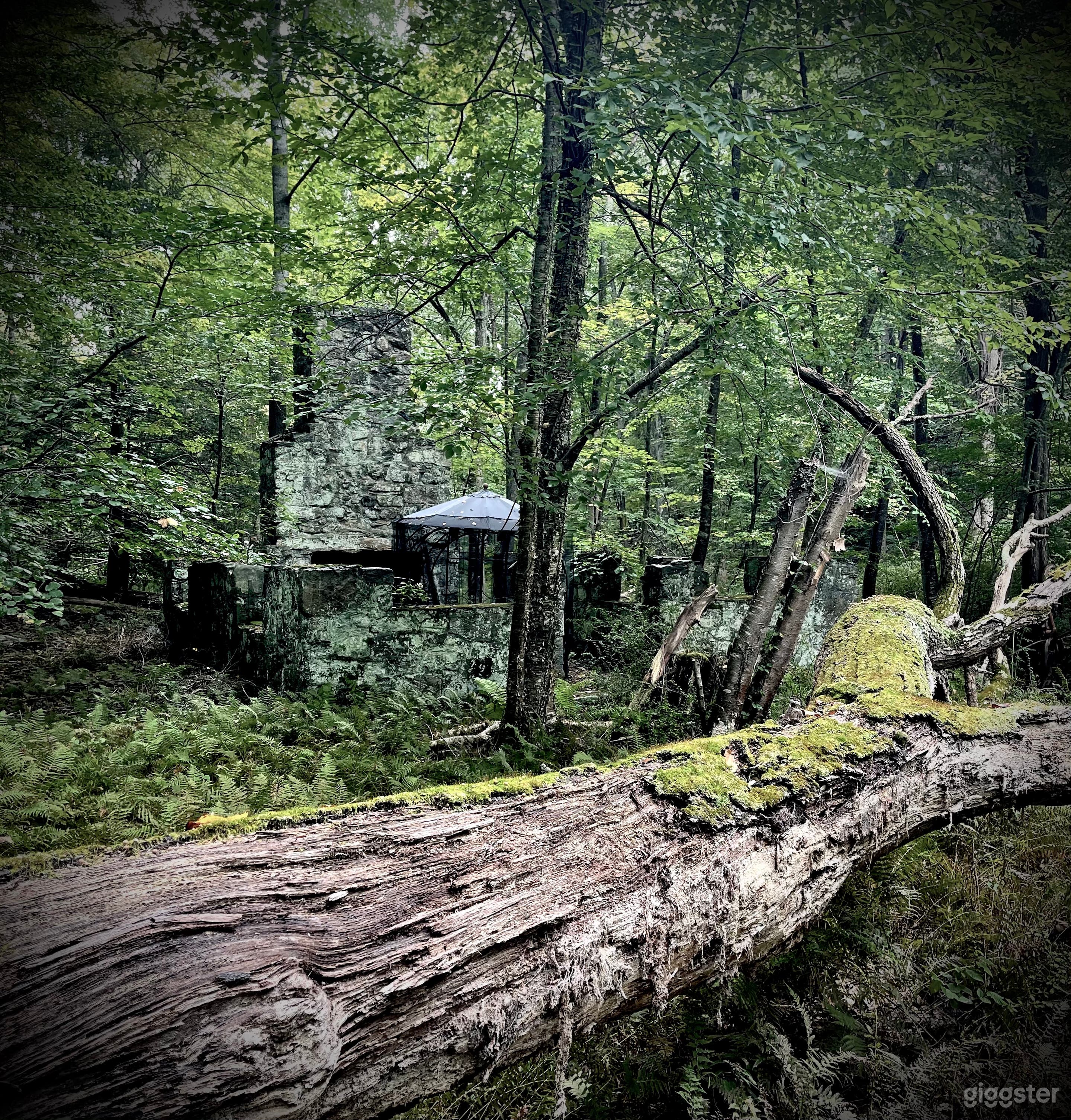 Dark and mysterious... with fall around the corner. 