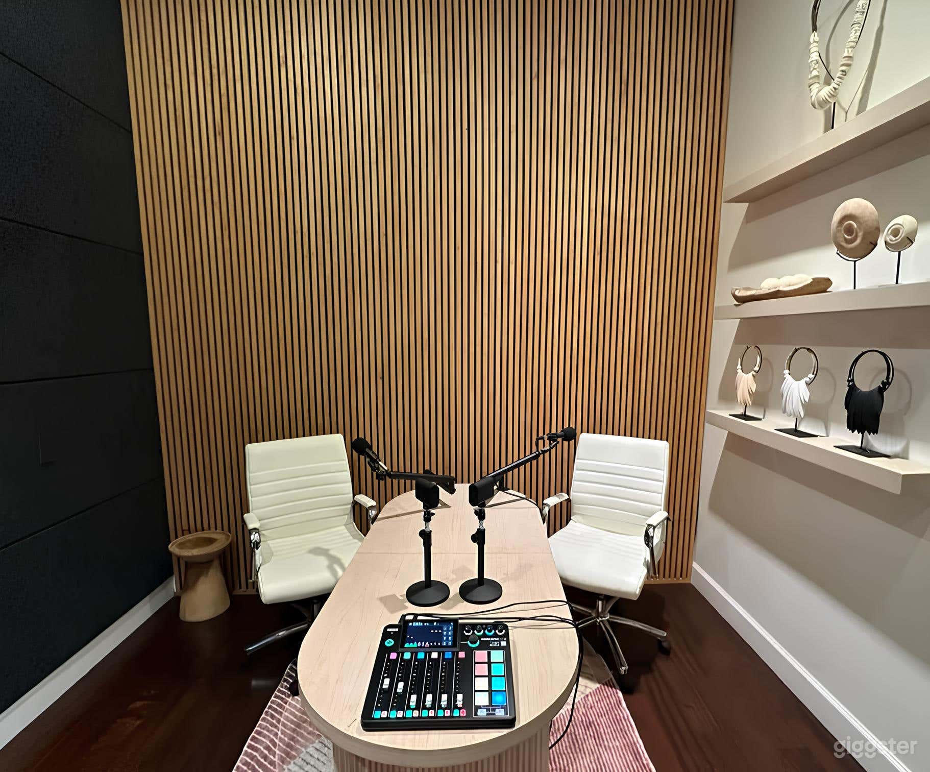Venice Podcast/Livestream Studio with Equipment & Lights Photo 1