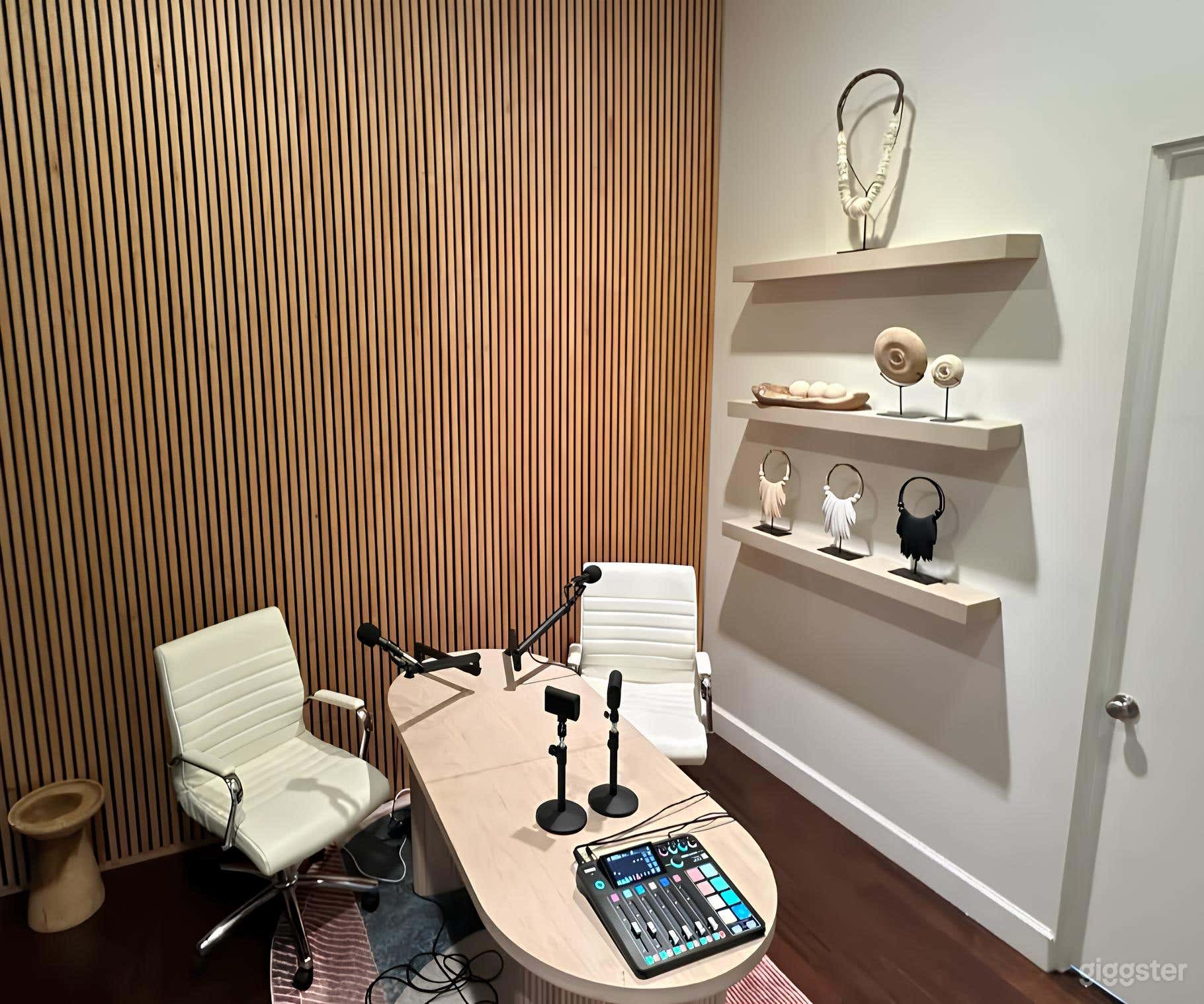 Venice Podcast/Livestream Studio with Equipment & Lights Photo 2
