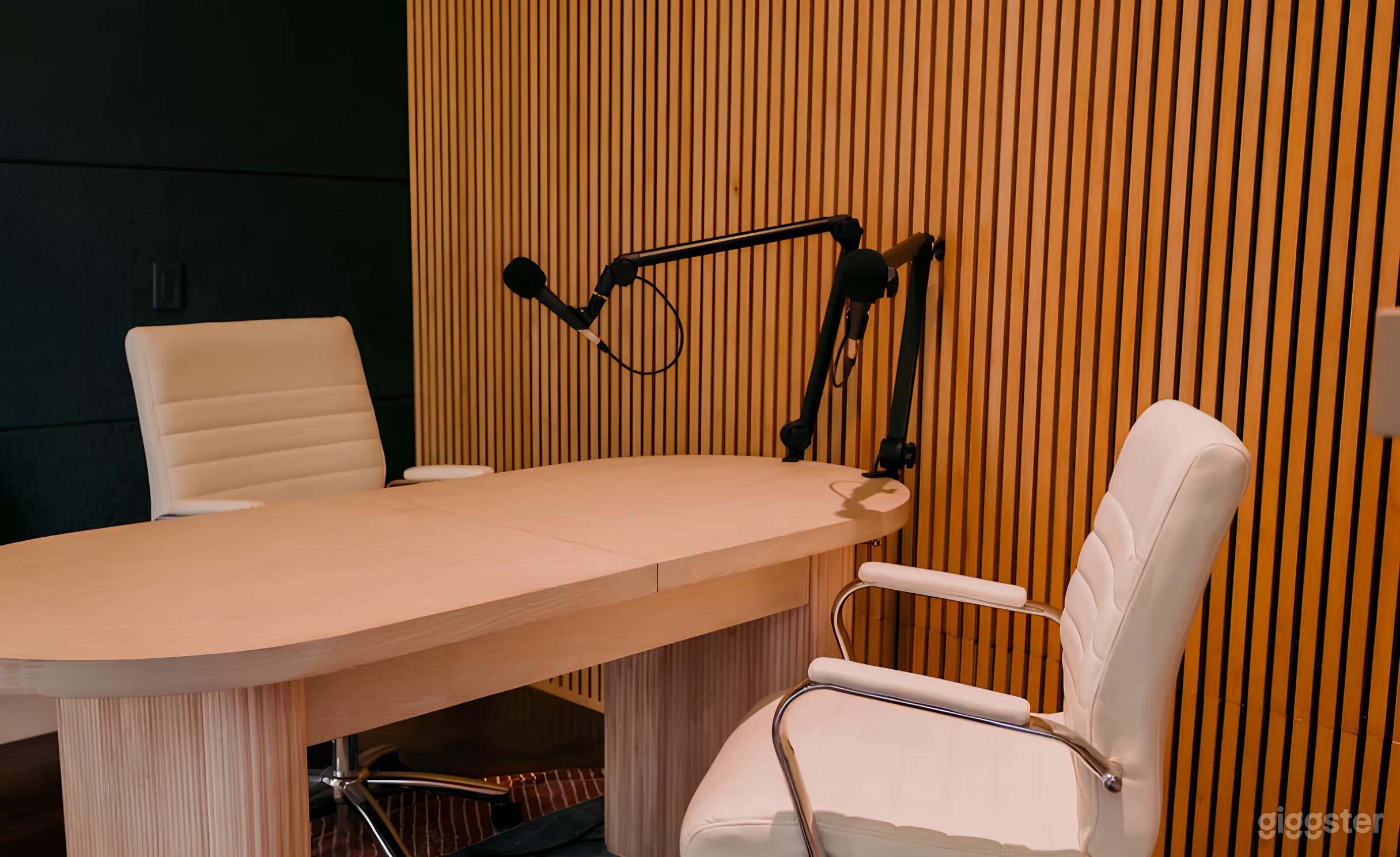 Venice Podcast/Livestream Studio with Equipment & Lights Photo 4