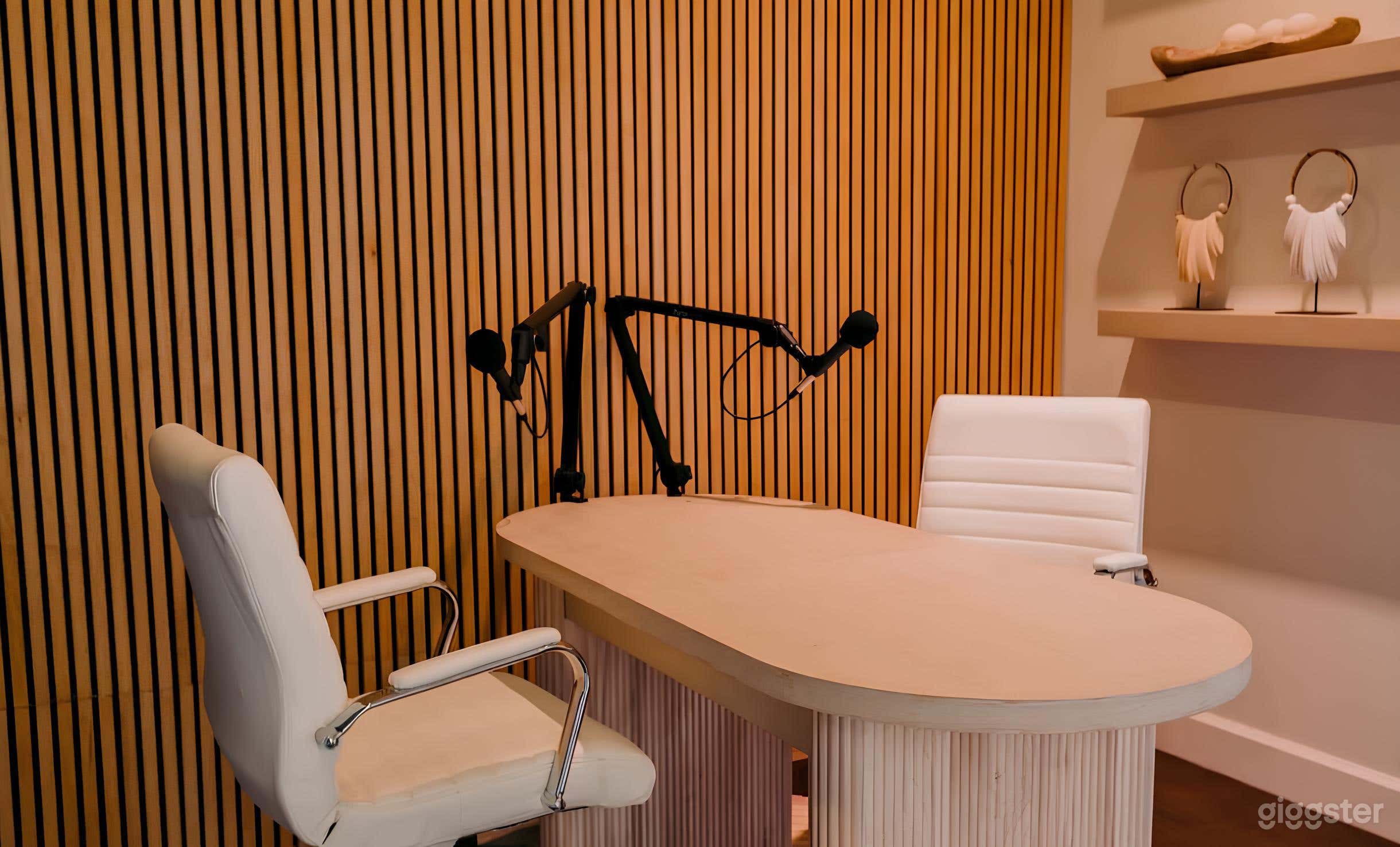 Venice Podcast/Livestream Studio with Equipment & Lights Photo 3