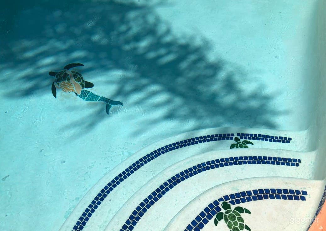 Beautiful Kidney Shaped Pool with Turtle Tiles Photo 1