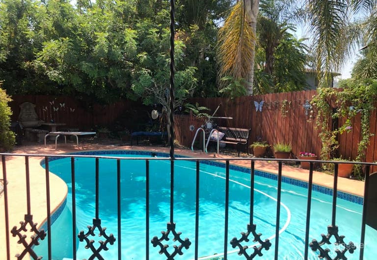  Beautiful Kidney Shaped Pool with Turtle Tiles 