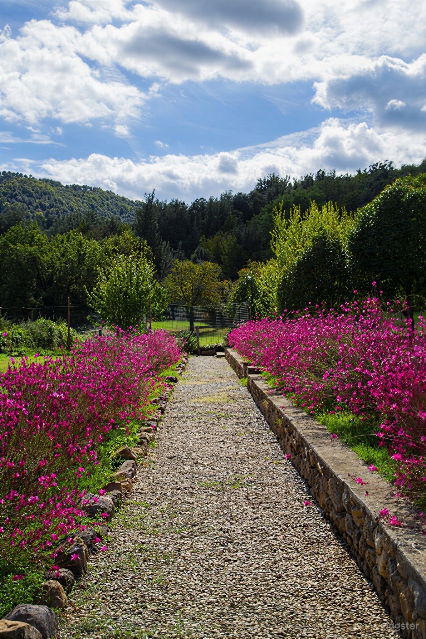 Foto di Tenuta storica toscana con villa, giardini e cortili. 4