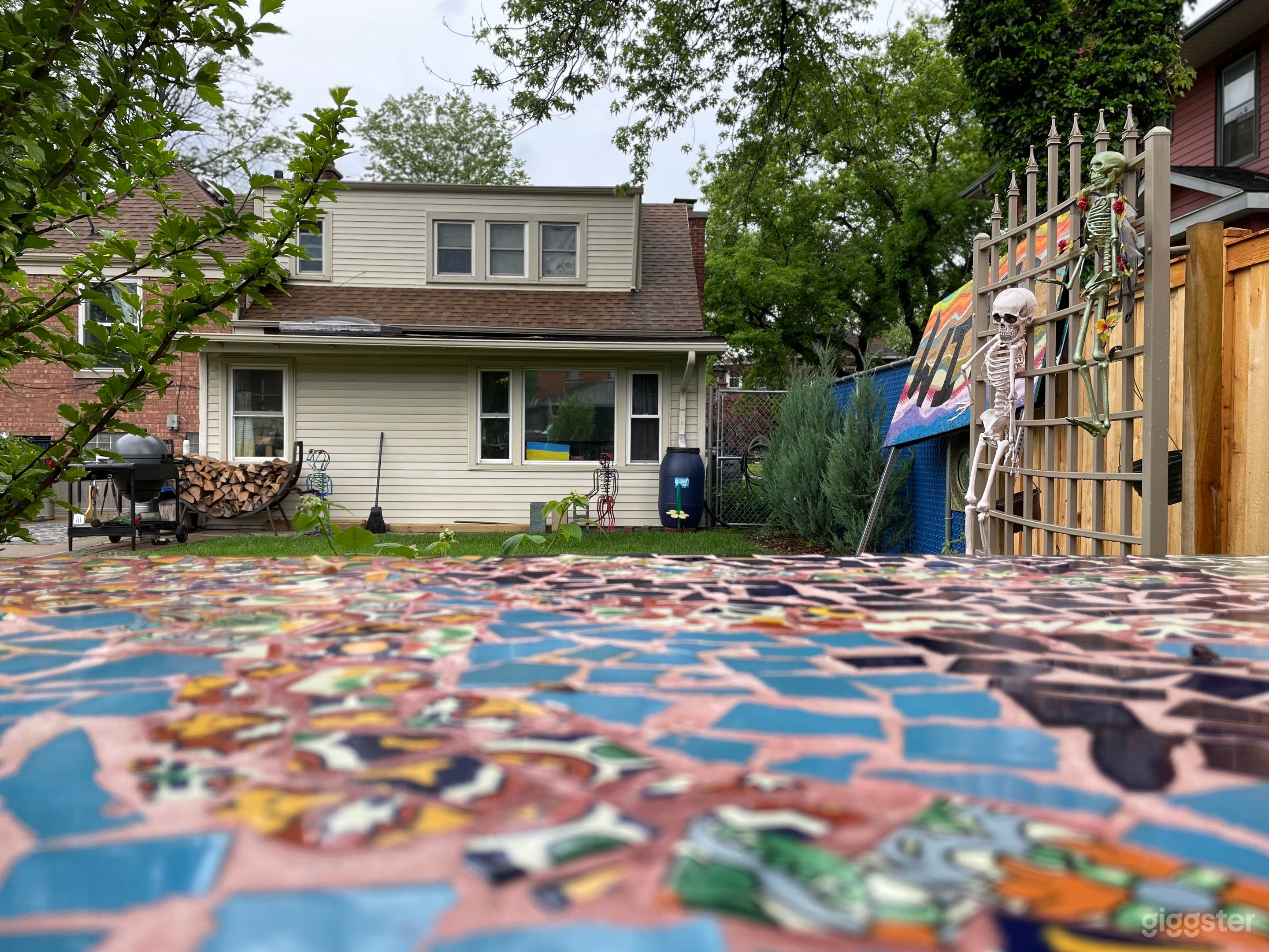 Backyard fun  Photo 1