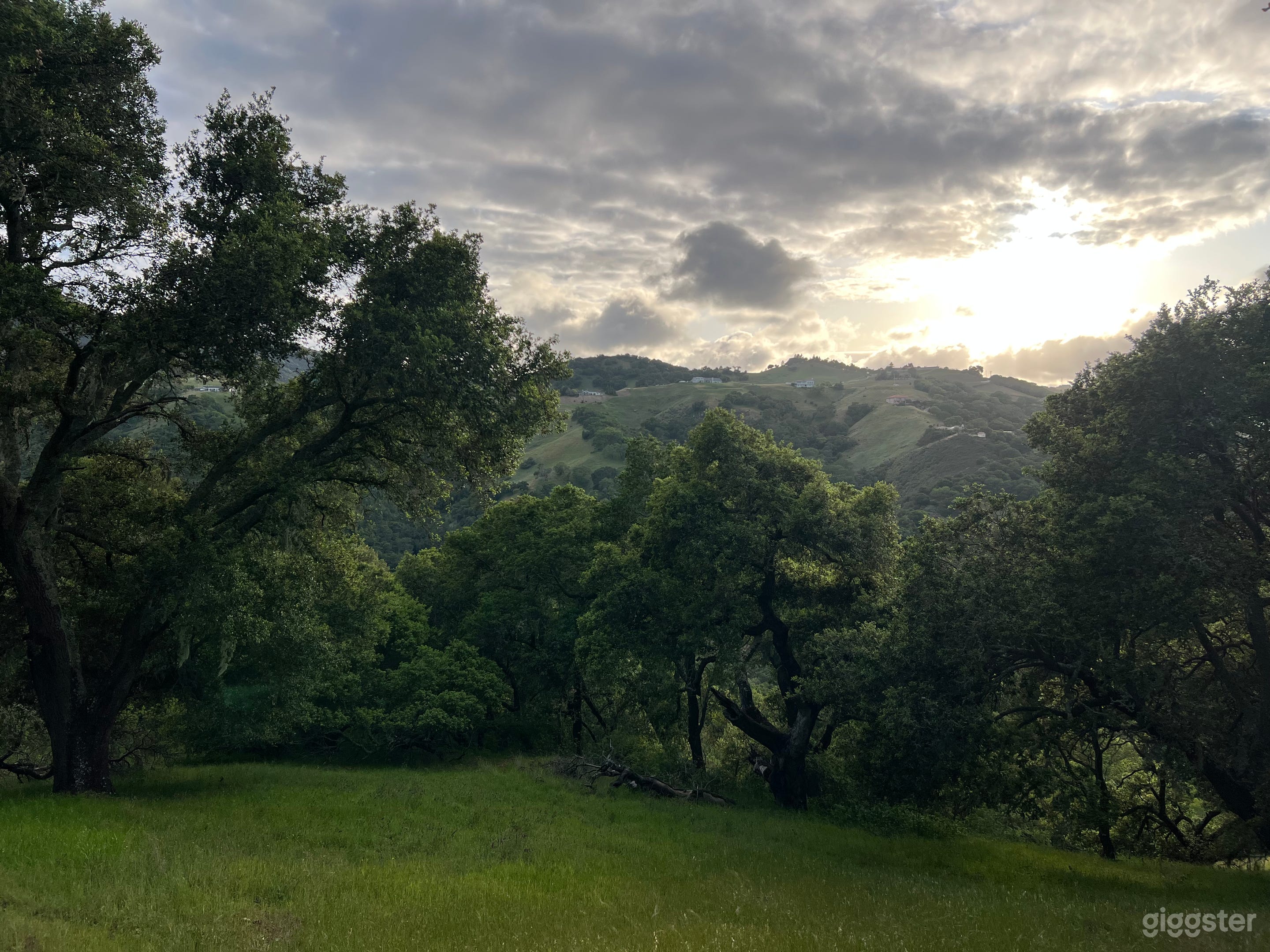 Hiking down a hilly terrain following a deer trail will lead you to this stunning view.