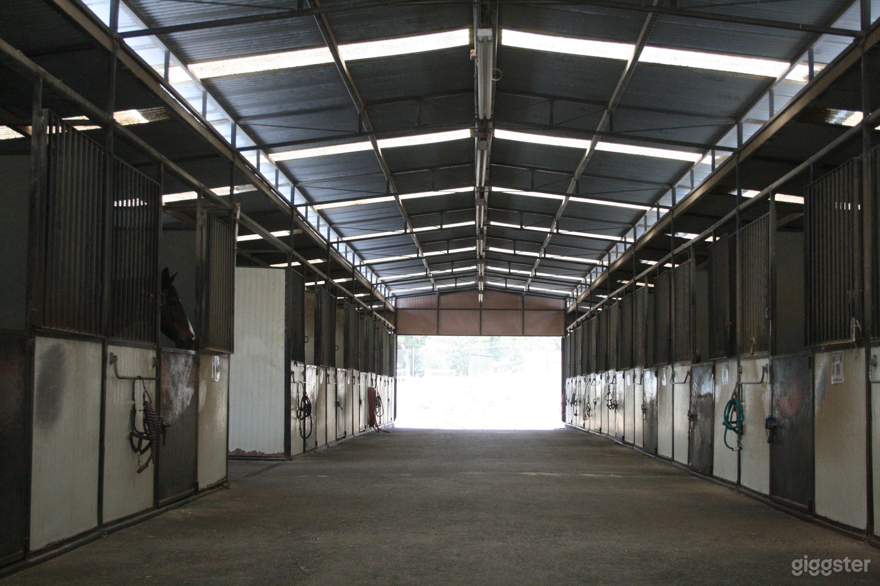 interior of the barn